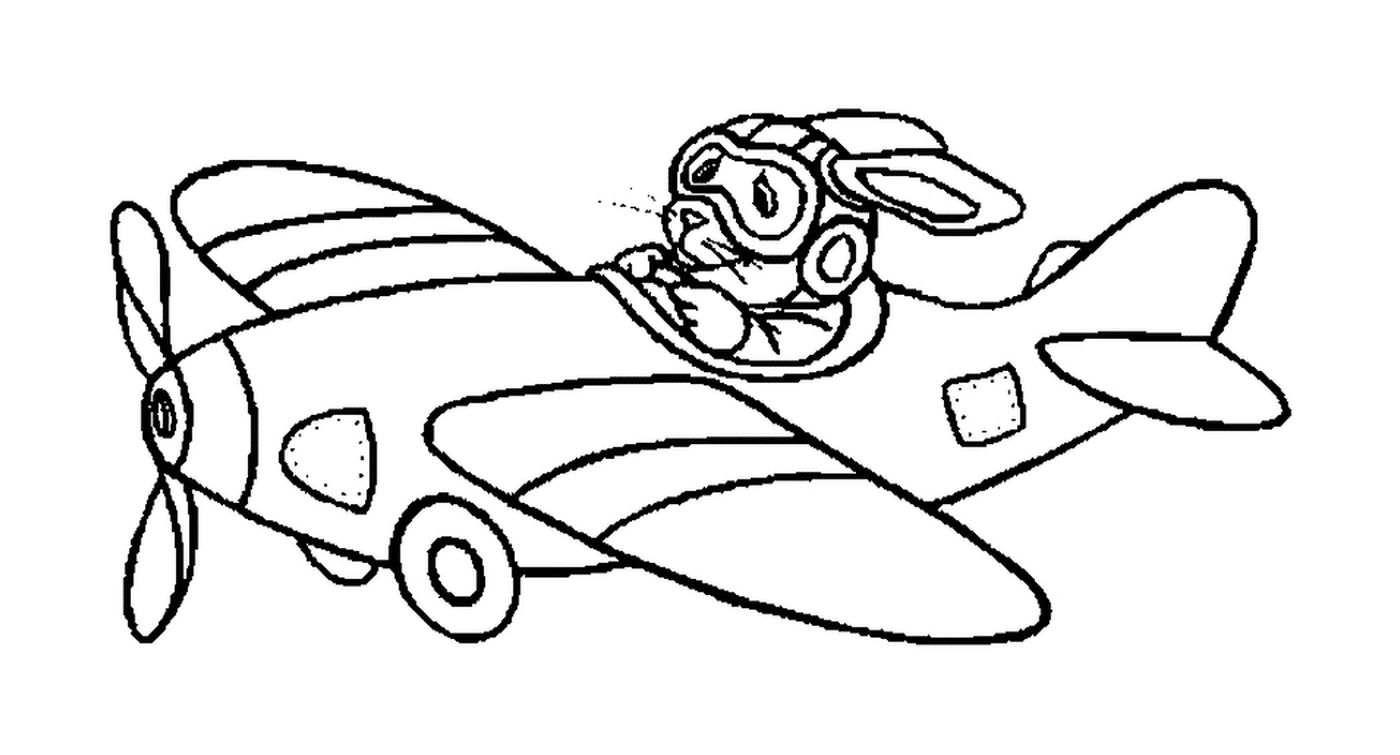  Un conejo vuela un avión 