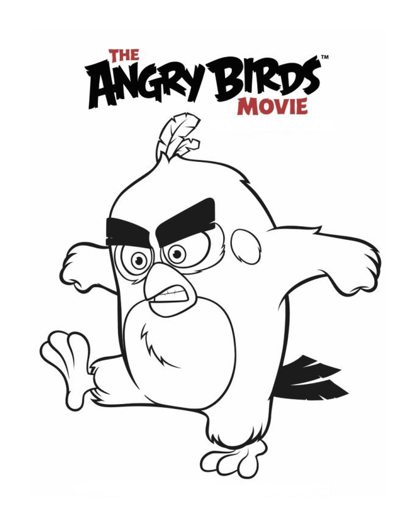  Angry Birds la película 