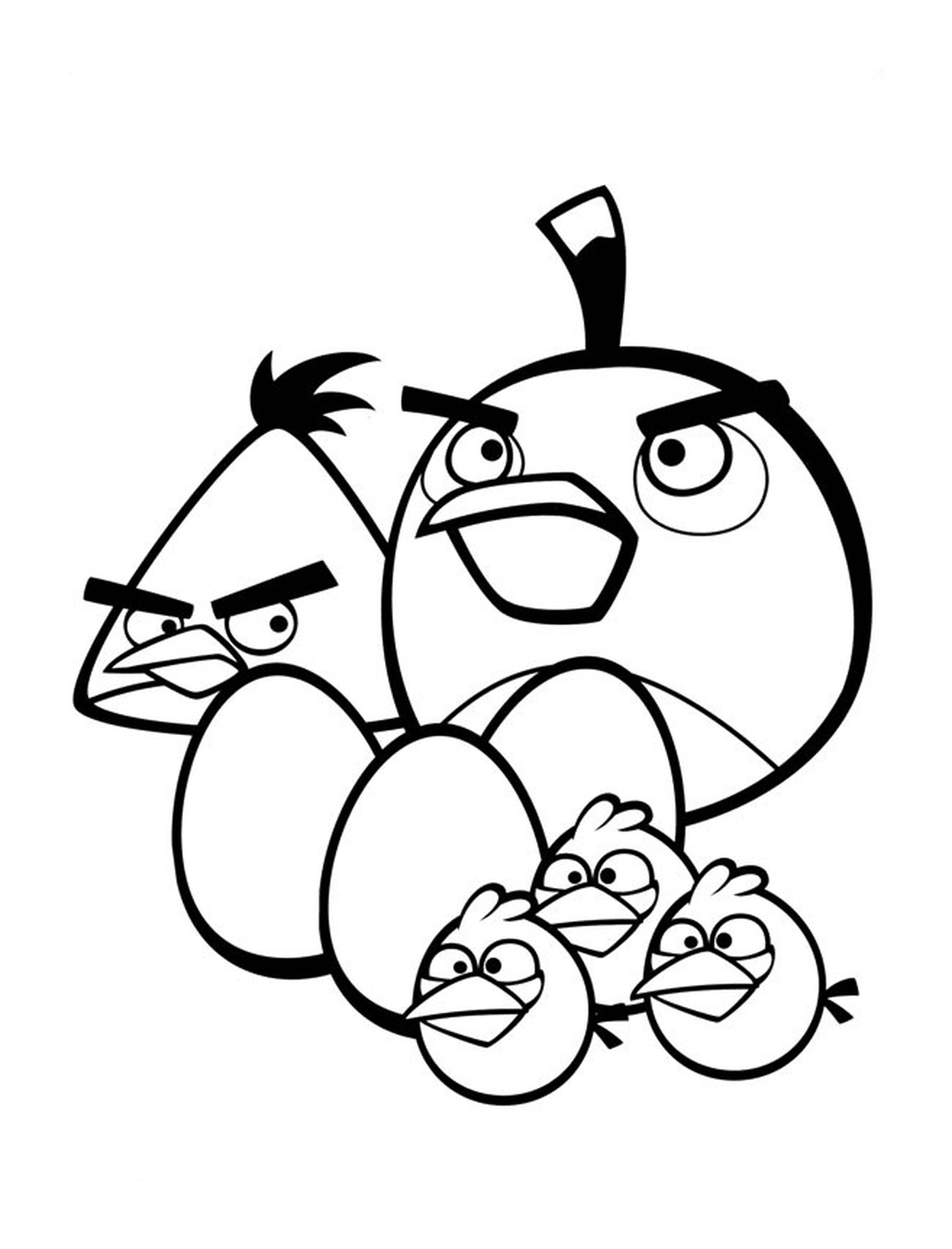  Angry Birds - Kleine Familie von Vögeln 