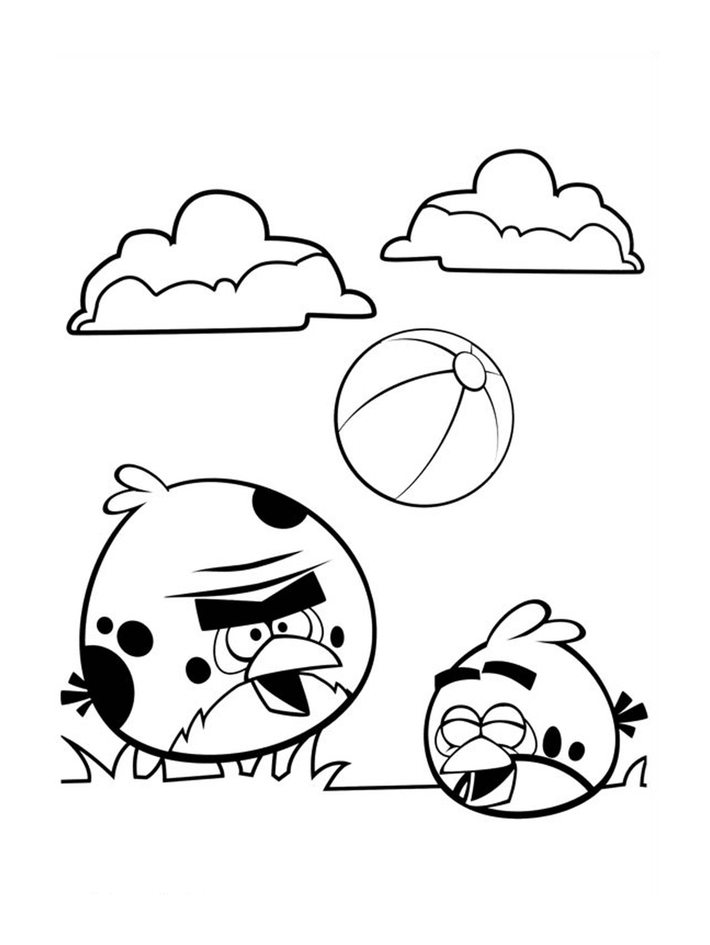  Angry Birds play football 
