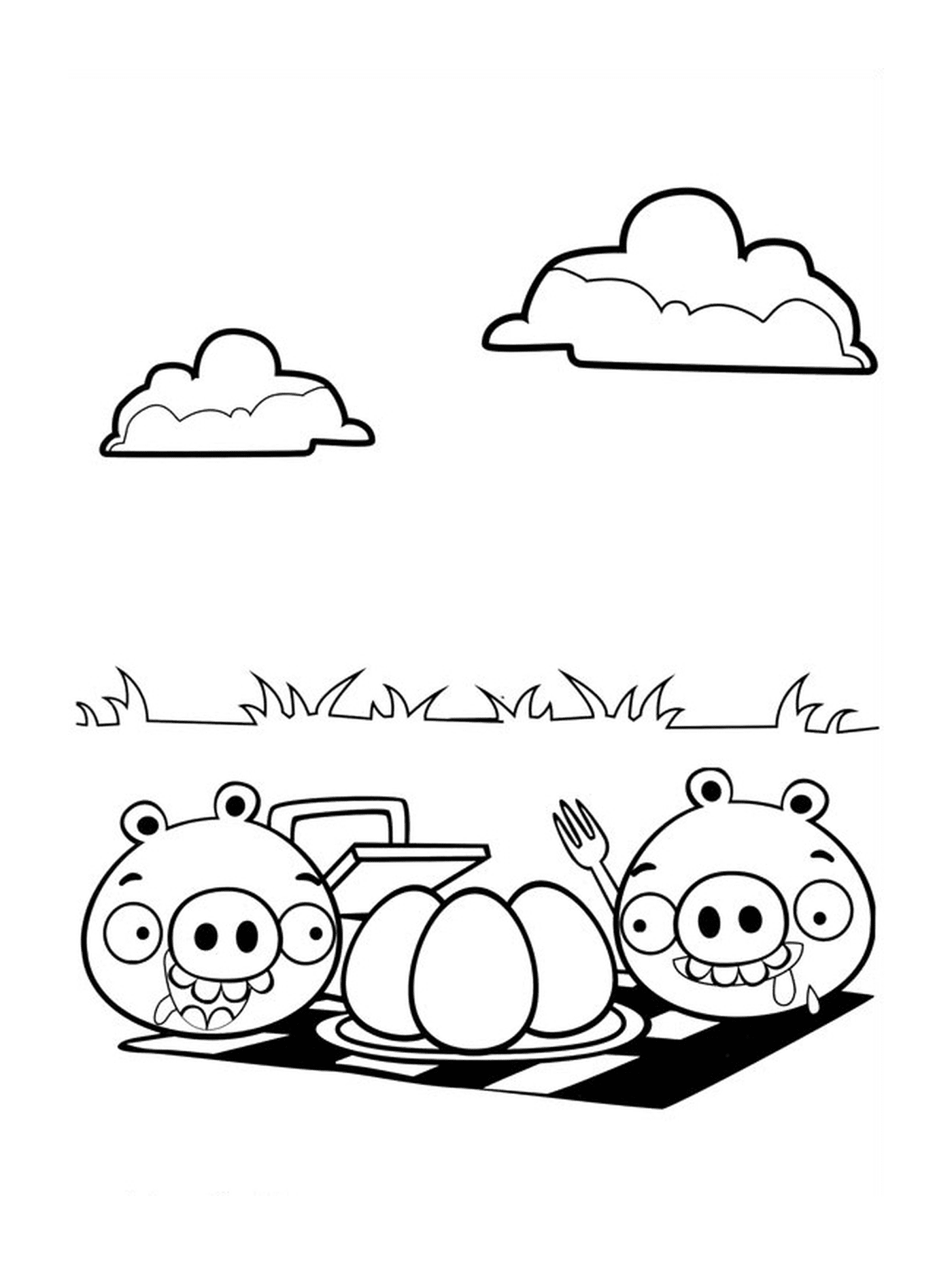  Angry Birds make a picnic, cook an egg 