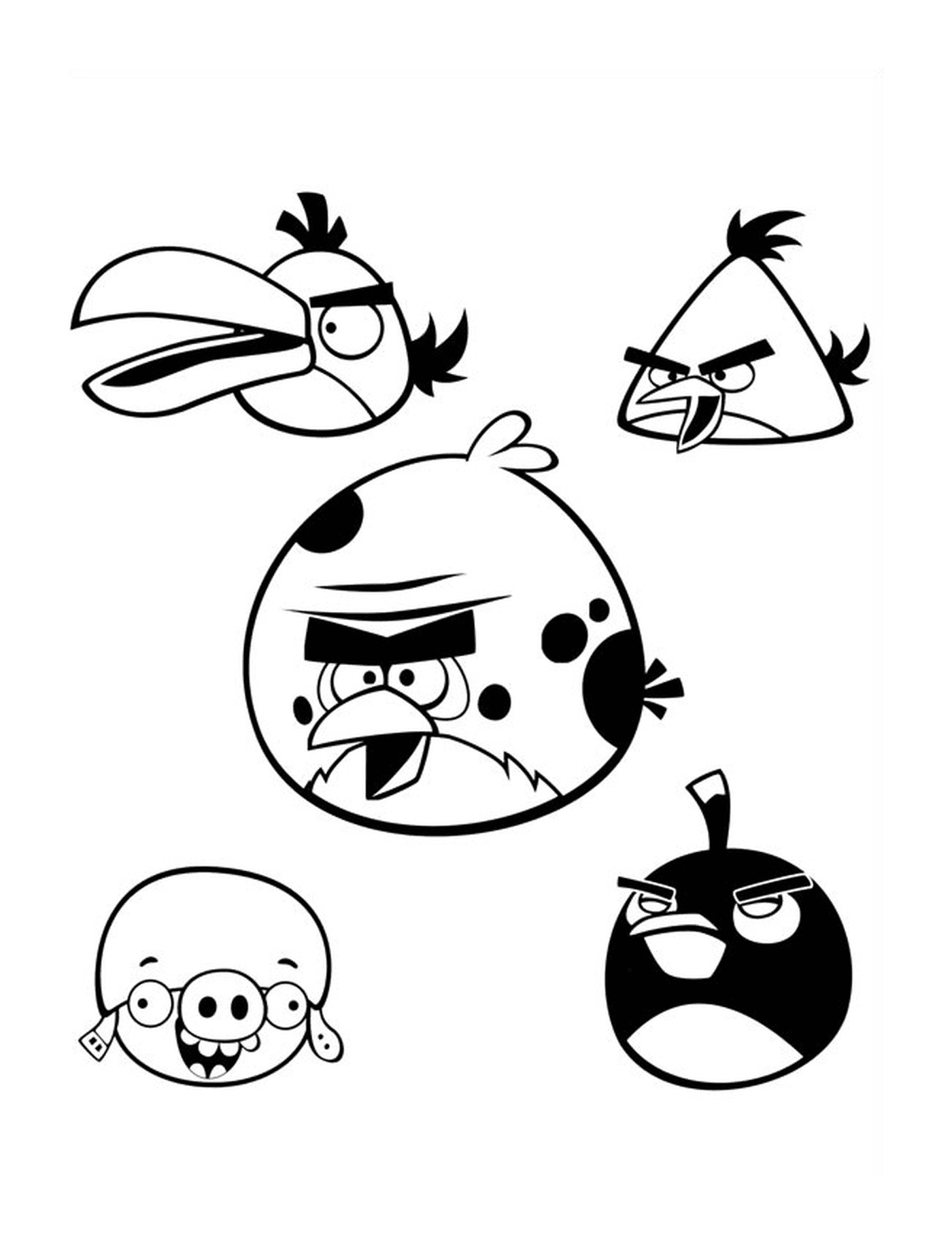  Squadra di cinque Angry Birds in aria 
