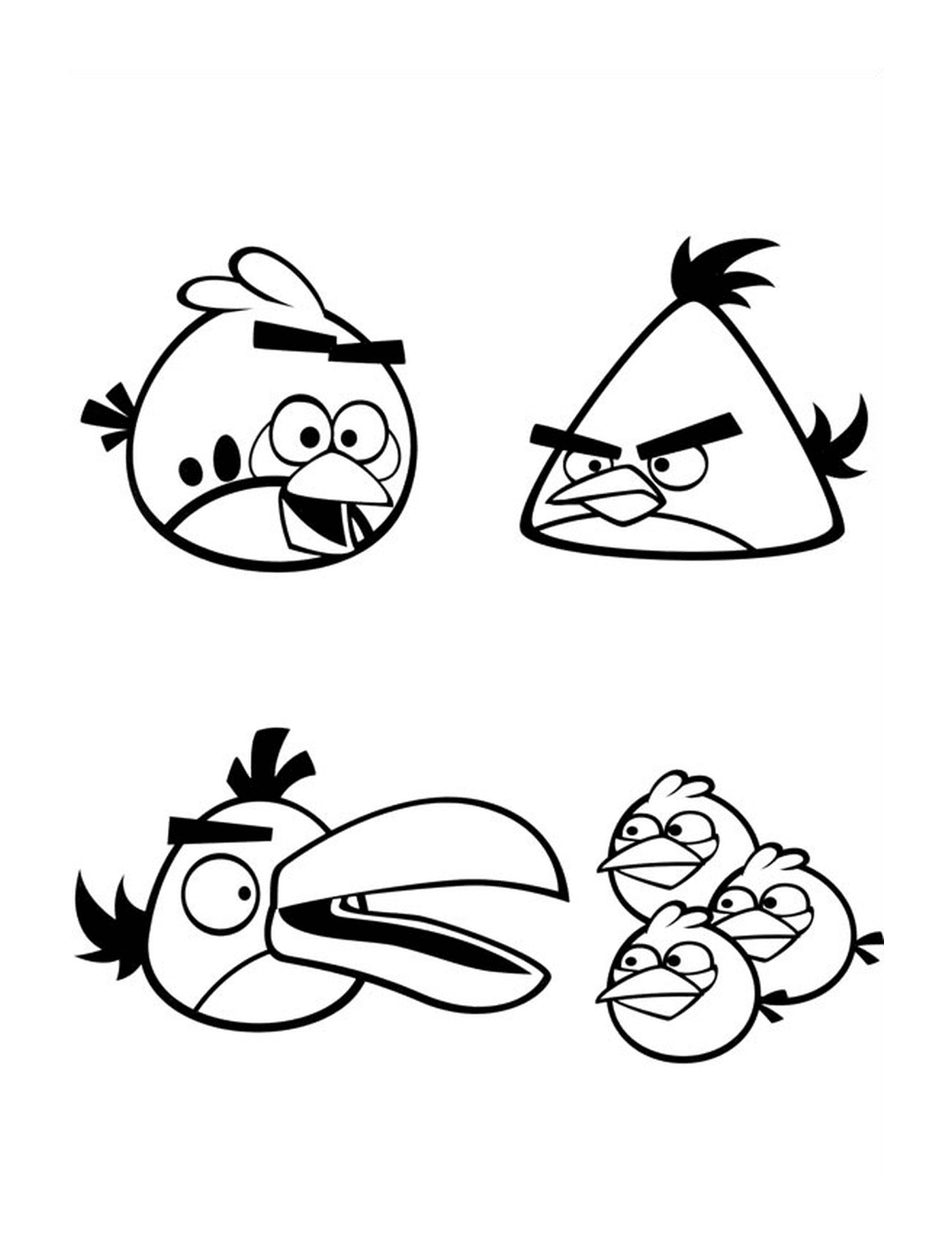  Los pájaros enojados 