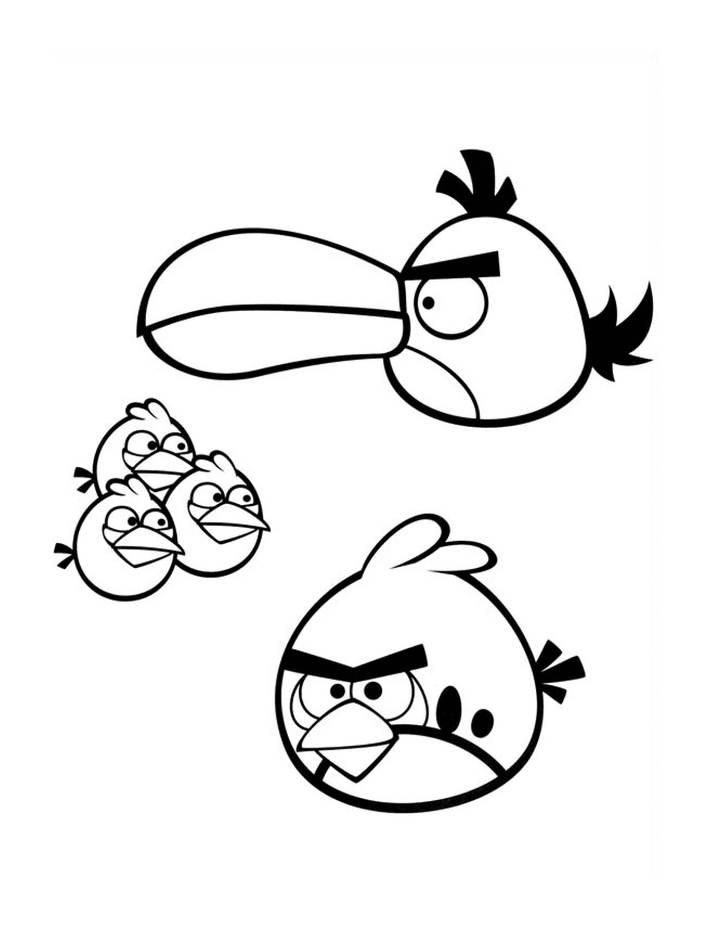  Uccelli arrabbiati piccoli e grandi 