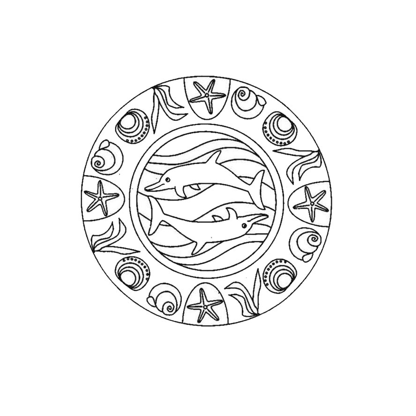  Two dolphins swimming in a seashell mandala 