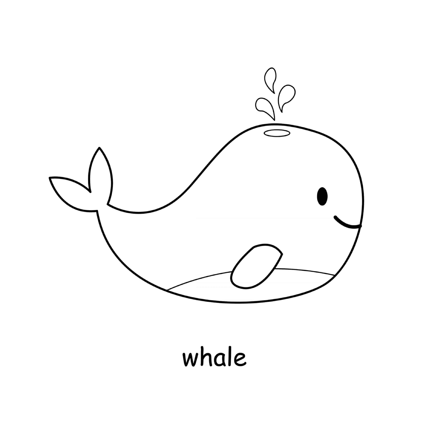  Морской млекопитающий кит 