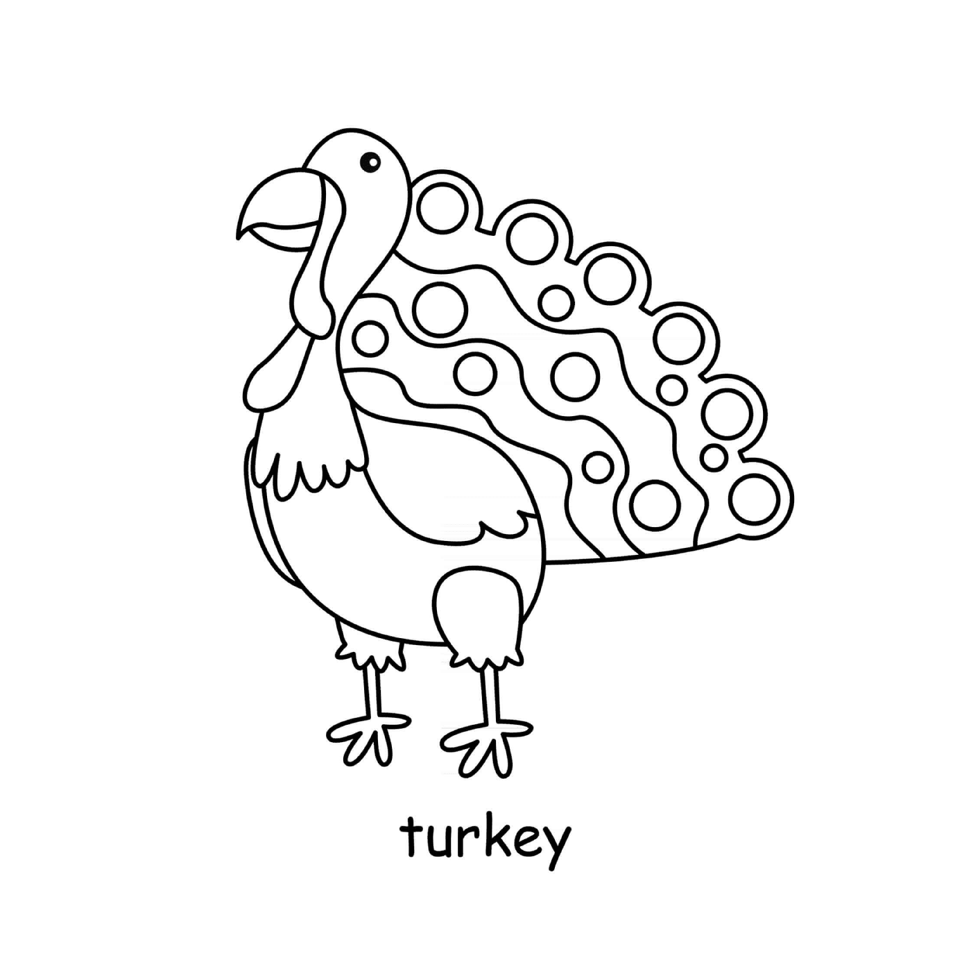  Uccello tacchino Turchia 