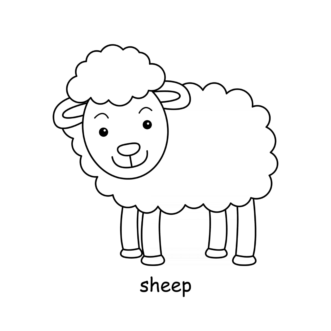 Animal sheep from the farm 