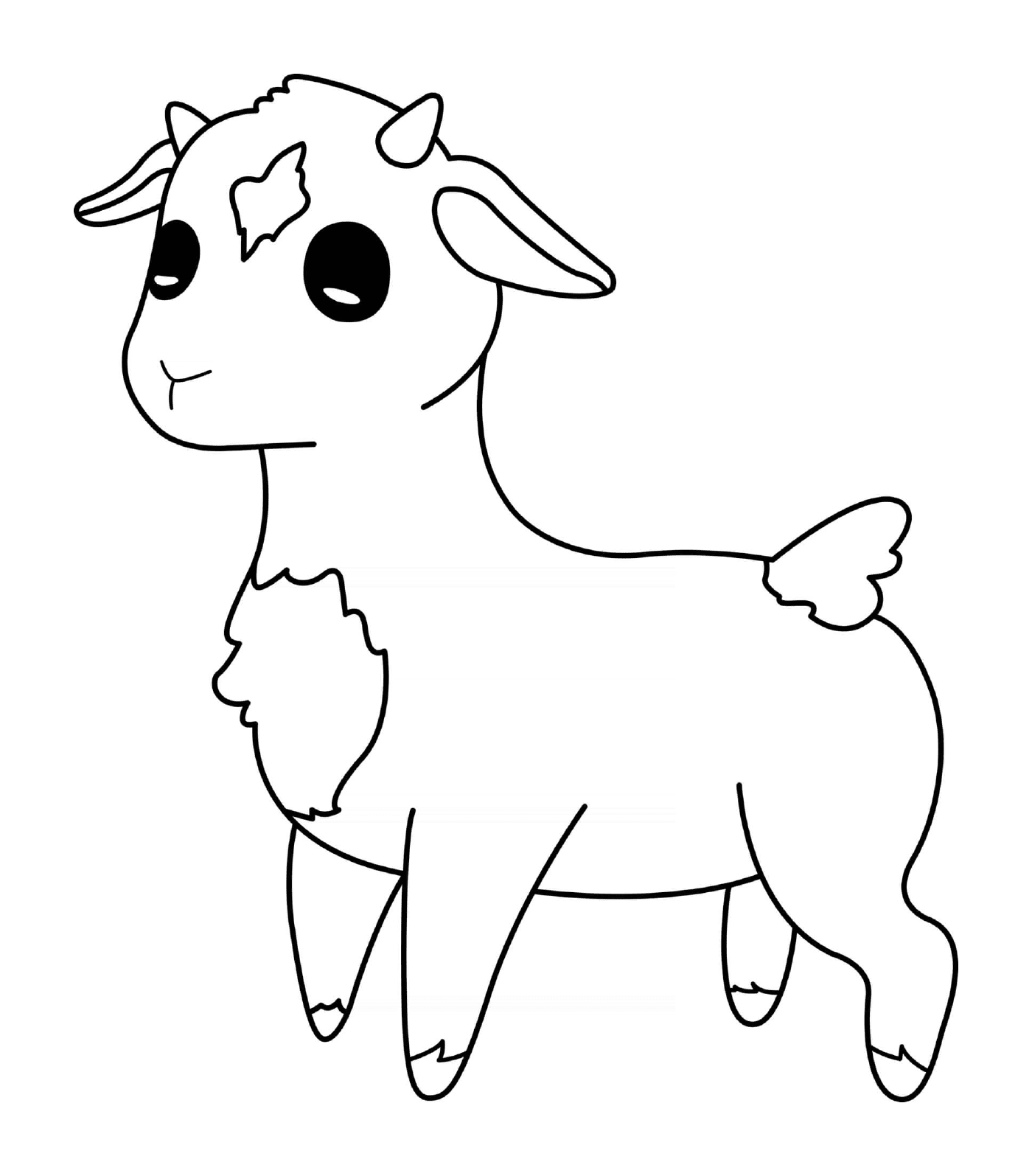  Animal lamb of the farm 