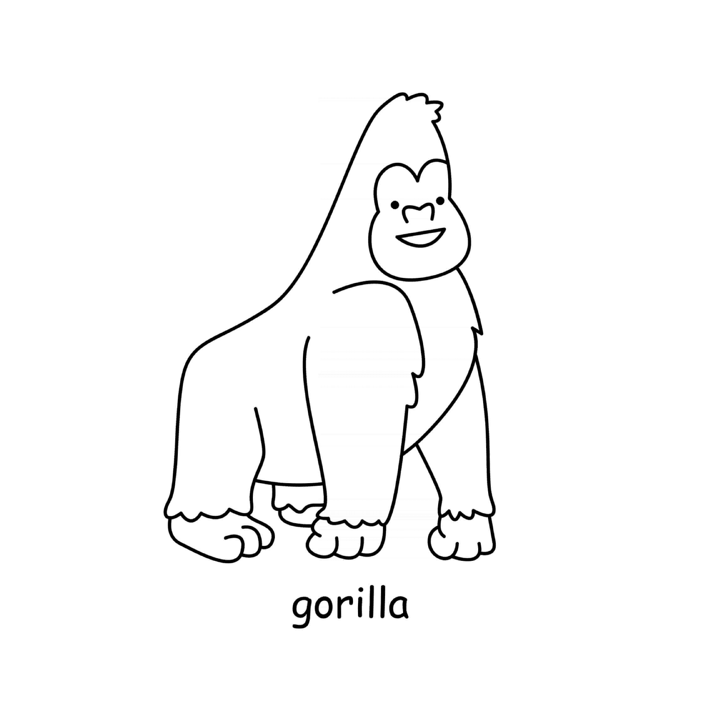  Animal gorilla 