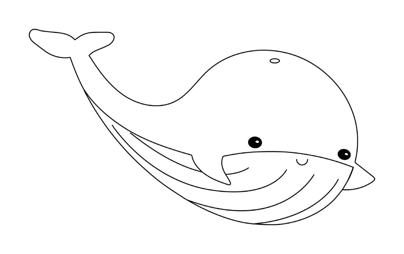  Cute marine animal whale 