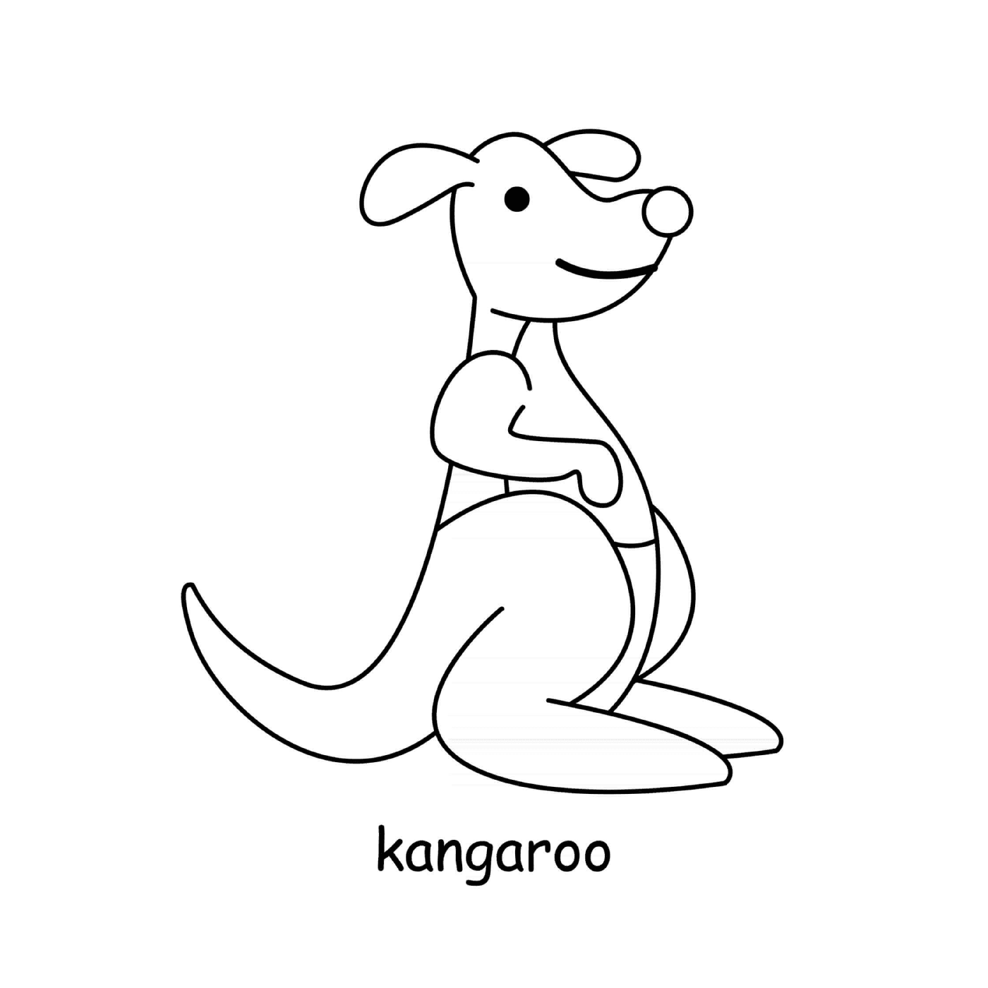  Kangaroo große Füße 