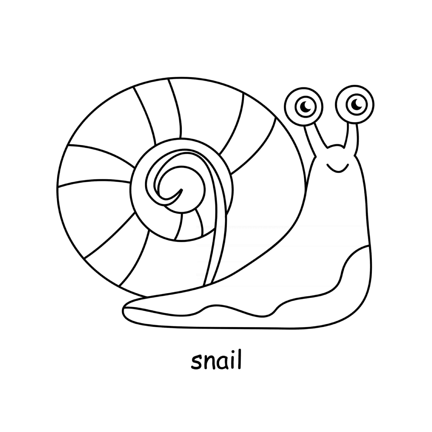  Sweet snail 