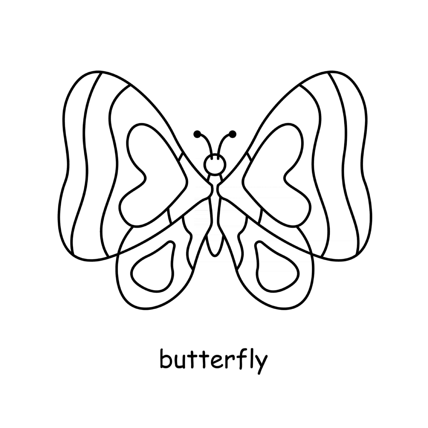  Farfalla semplice 