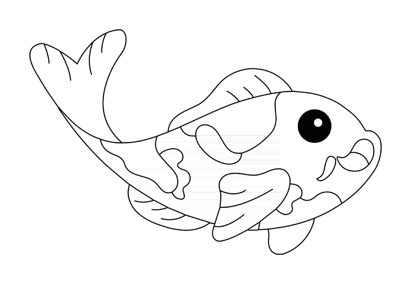  Carpa de pescado koi 