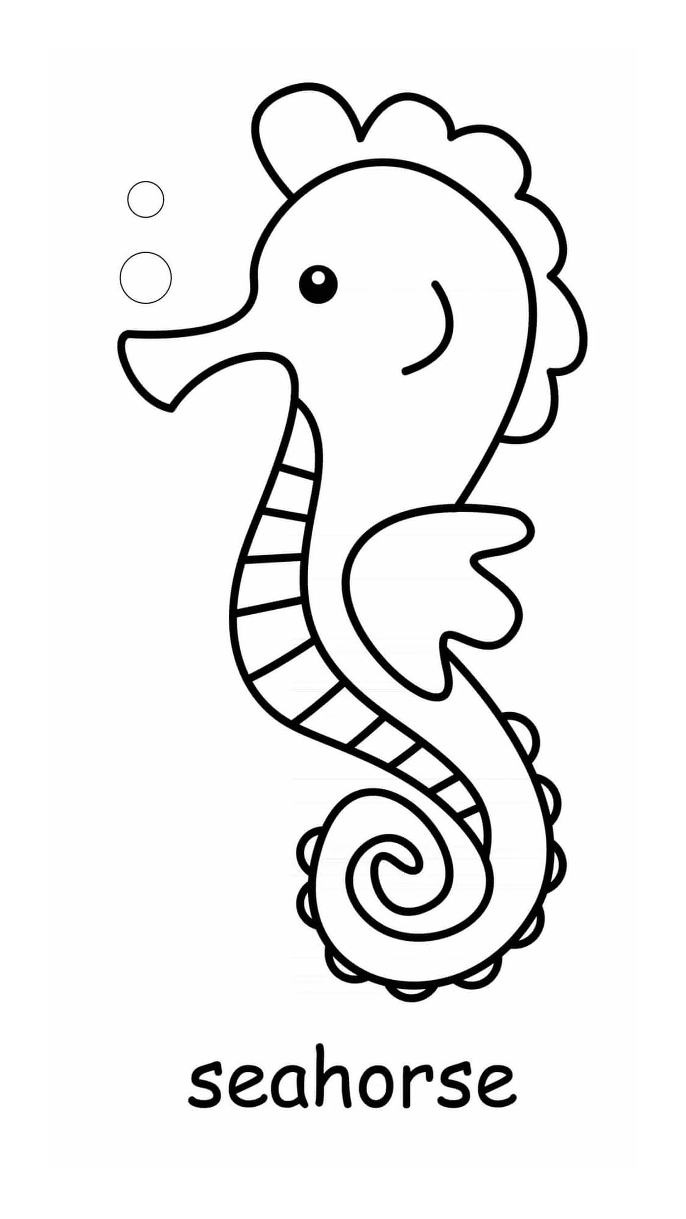  Sea fish seahorses 