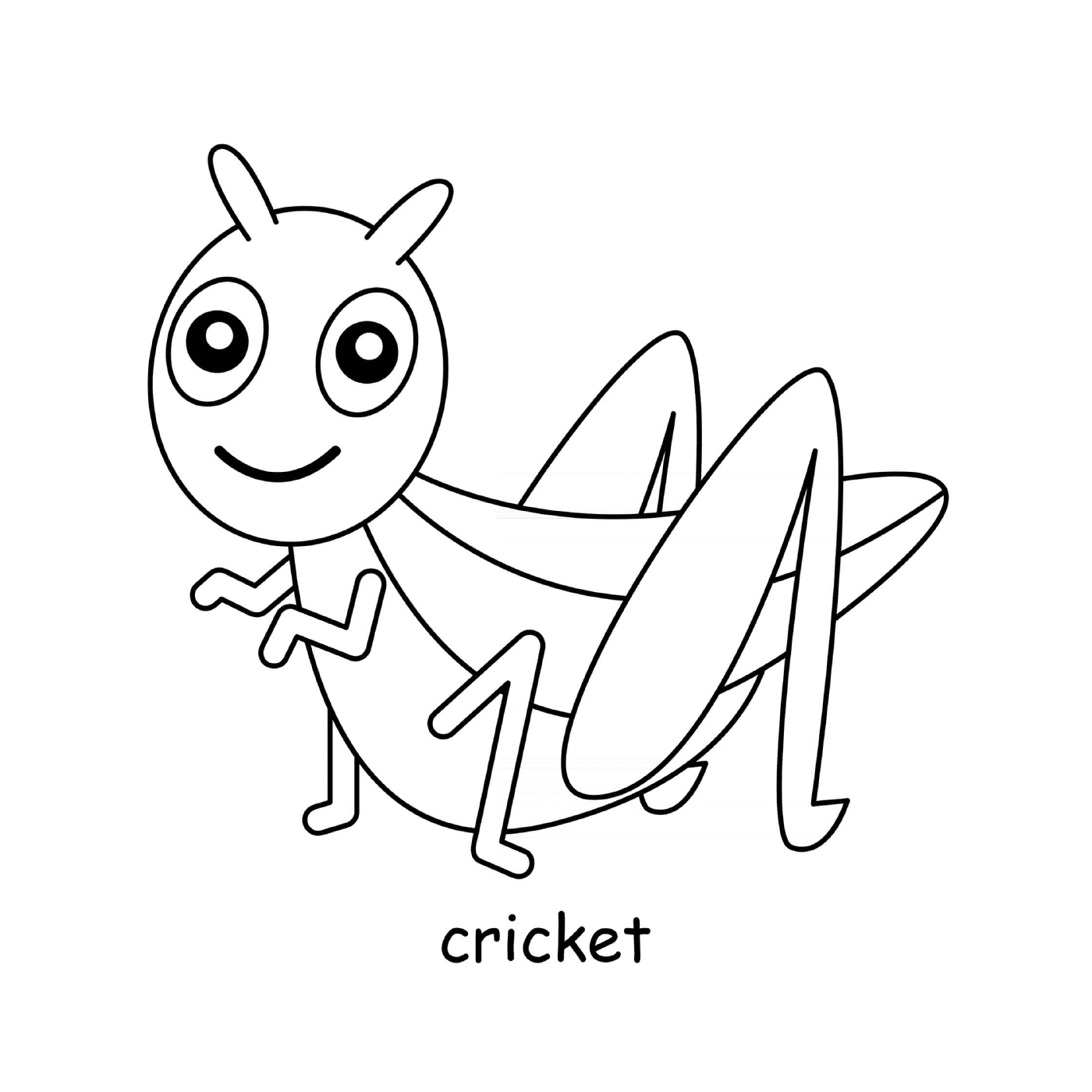  Cricket de insectos 
