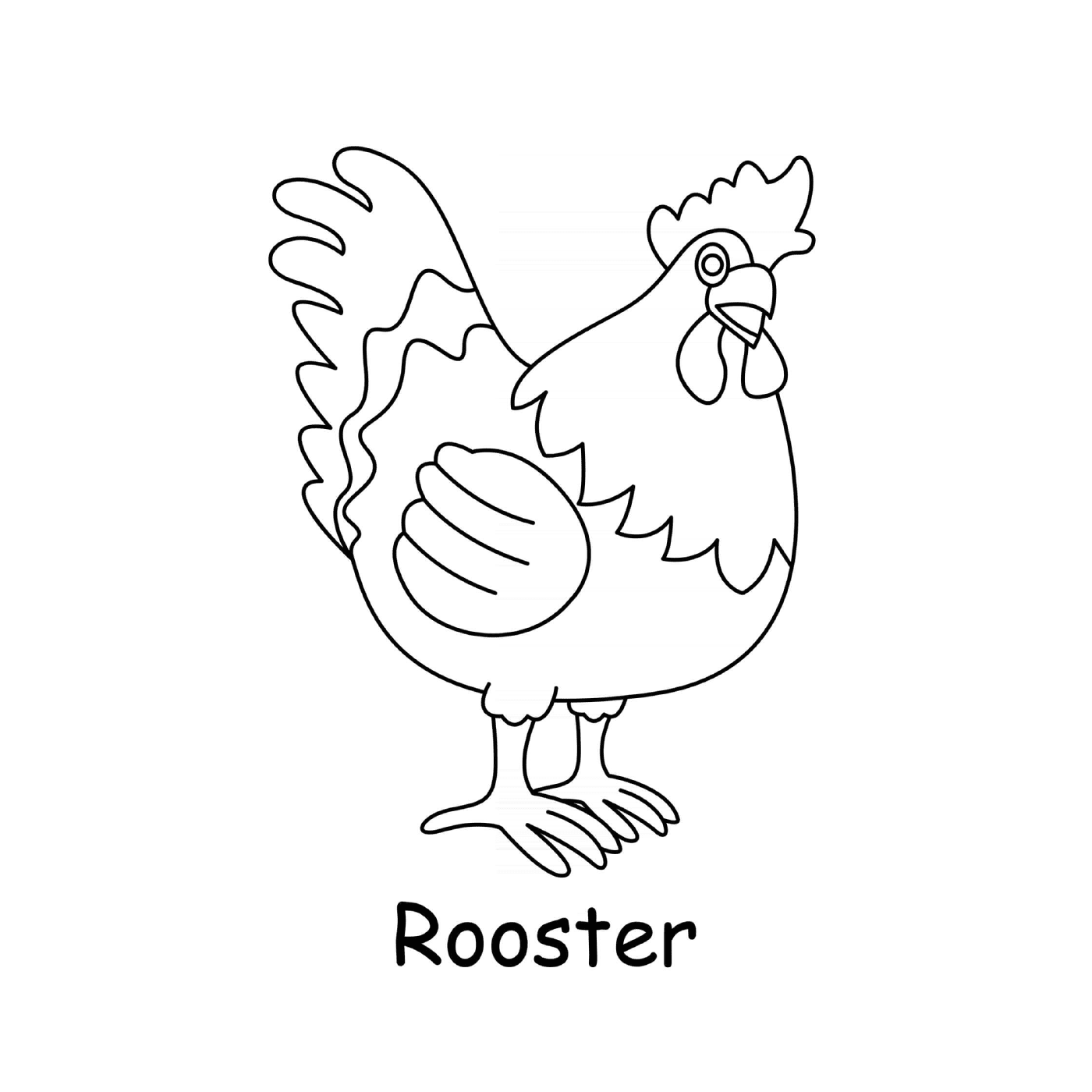  Rooster male chicken 
