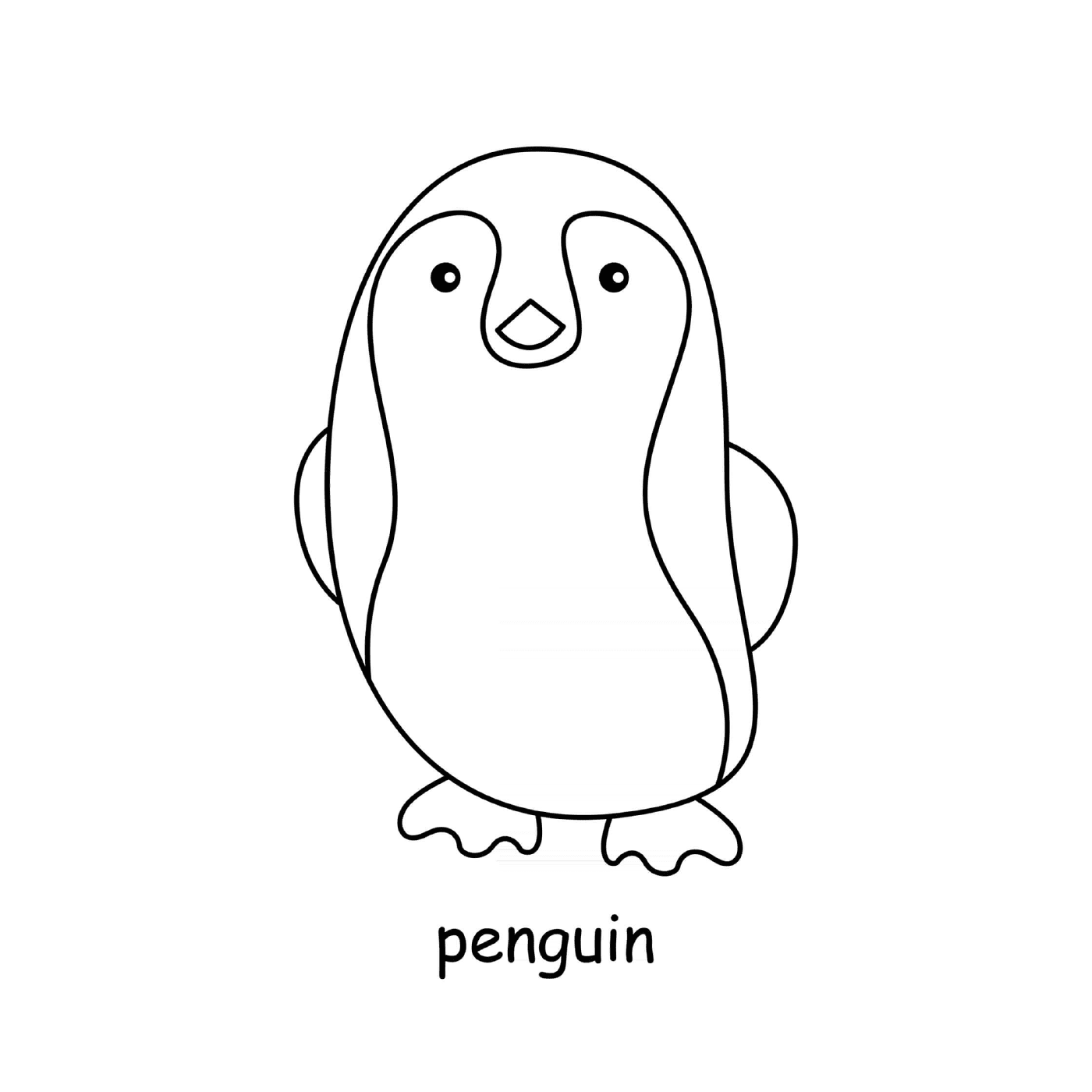  Pinguin Manchot 