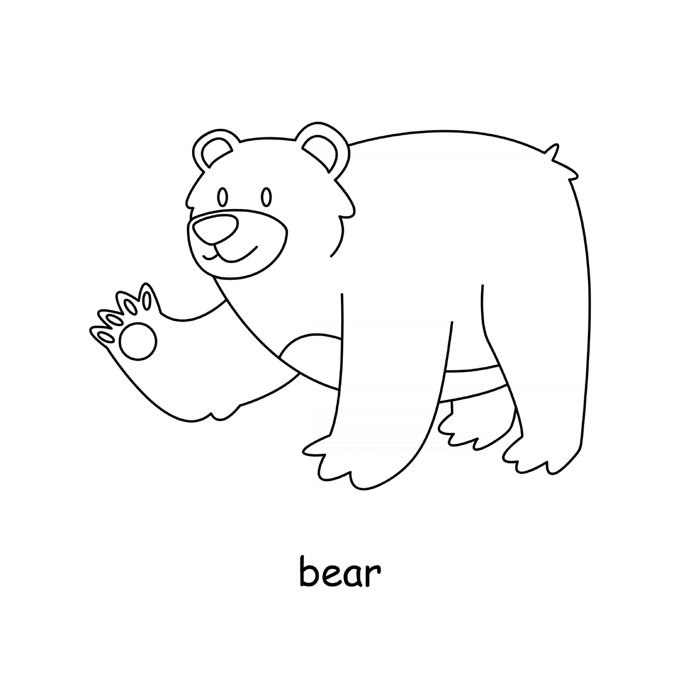  Weißbären 