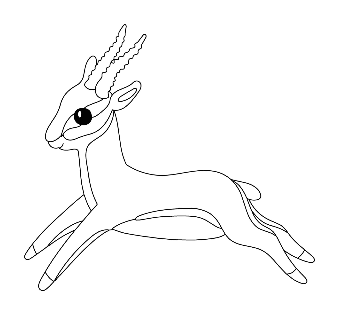  Antelope con lunghe corna in movimento 