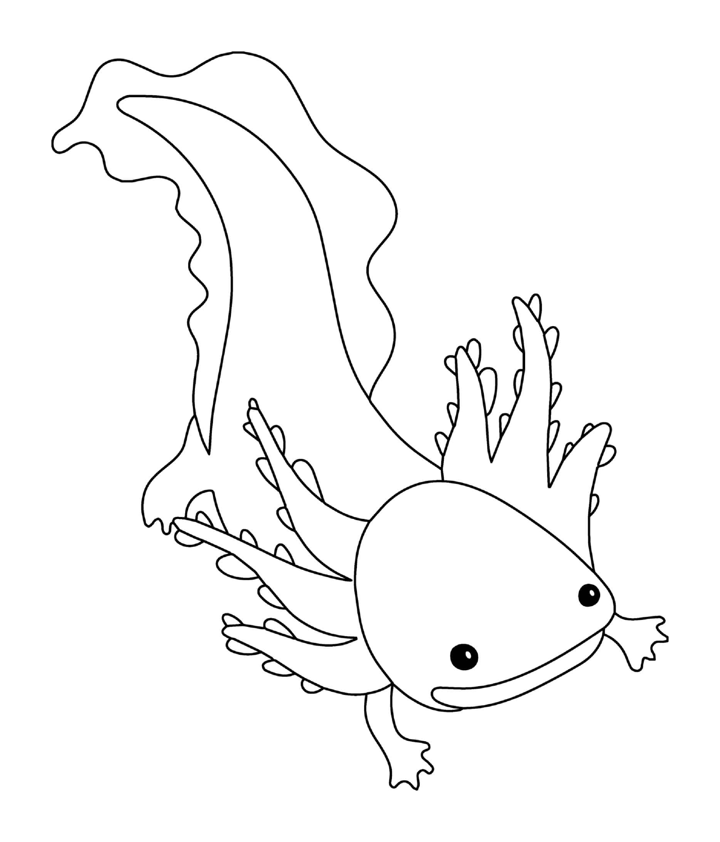  Axolotl nunca metamorfosificante 
