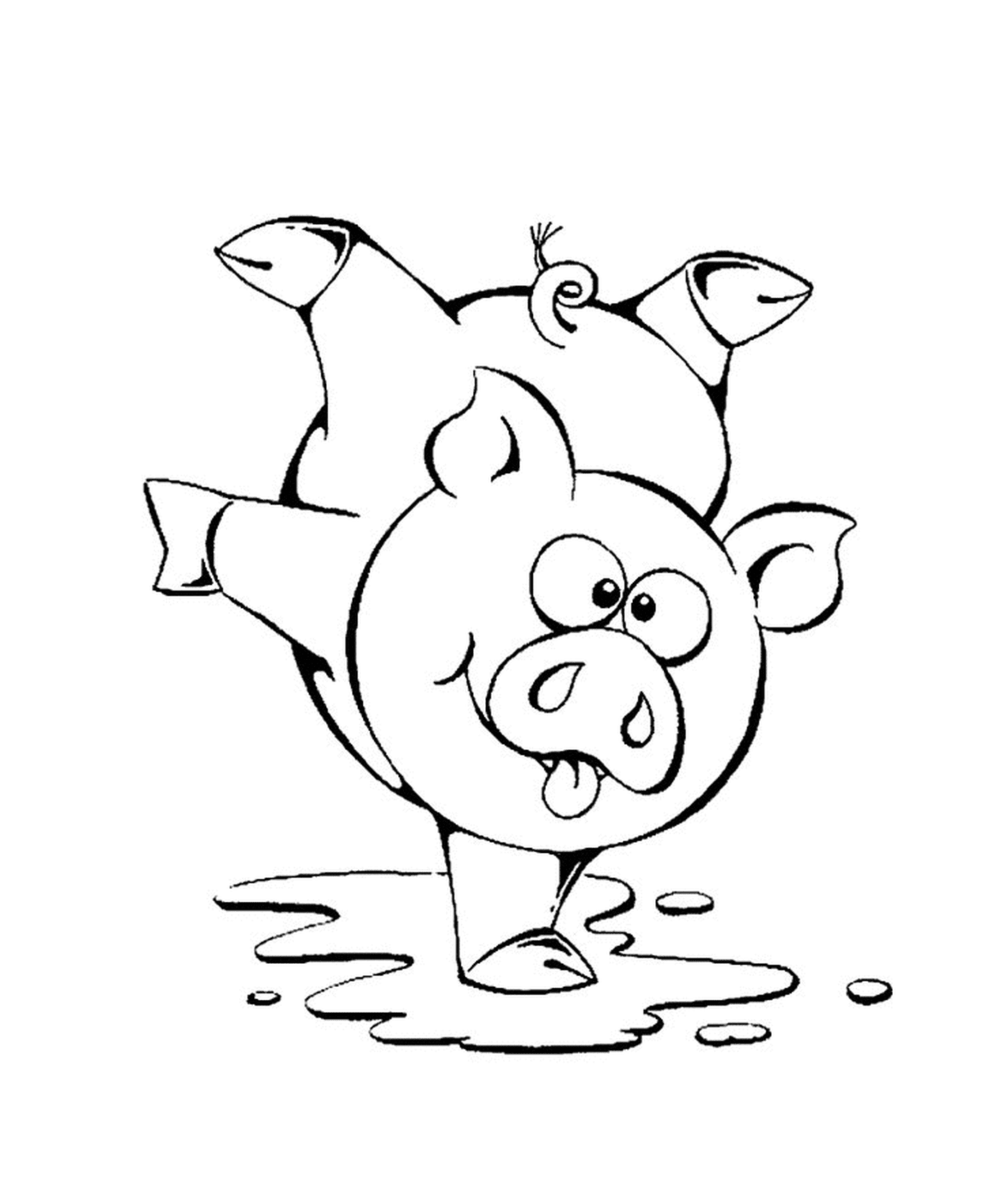  Un cerdo haciendo la pera 