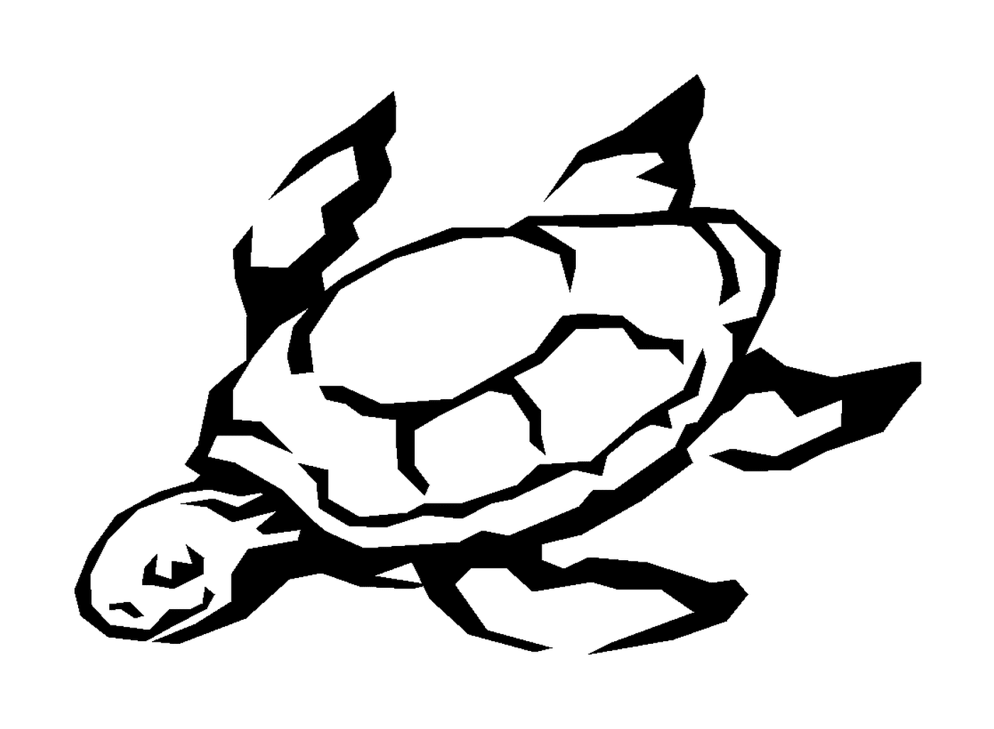  Eine Meeresschildkröte 