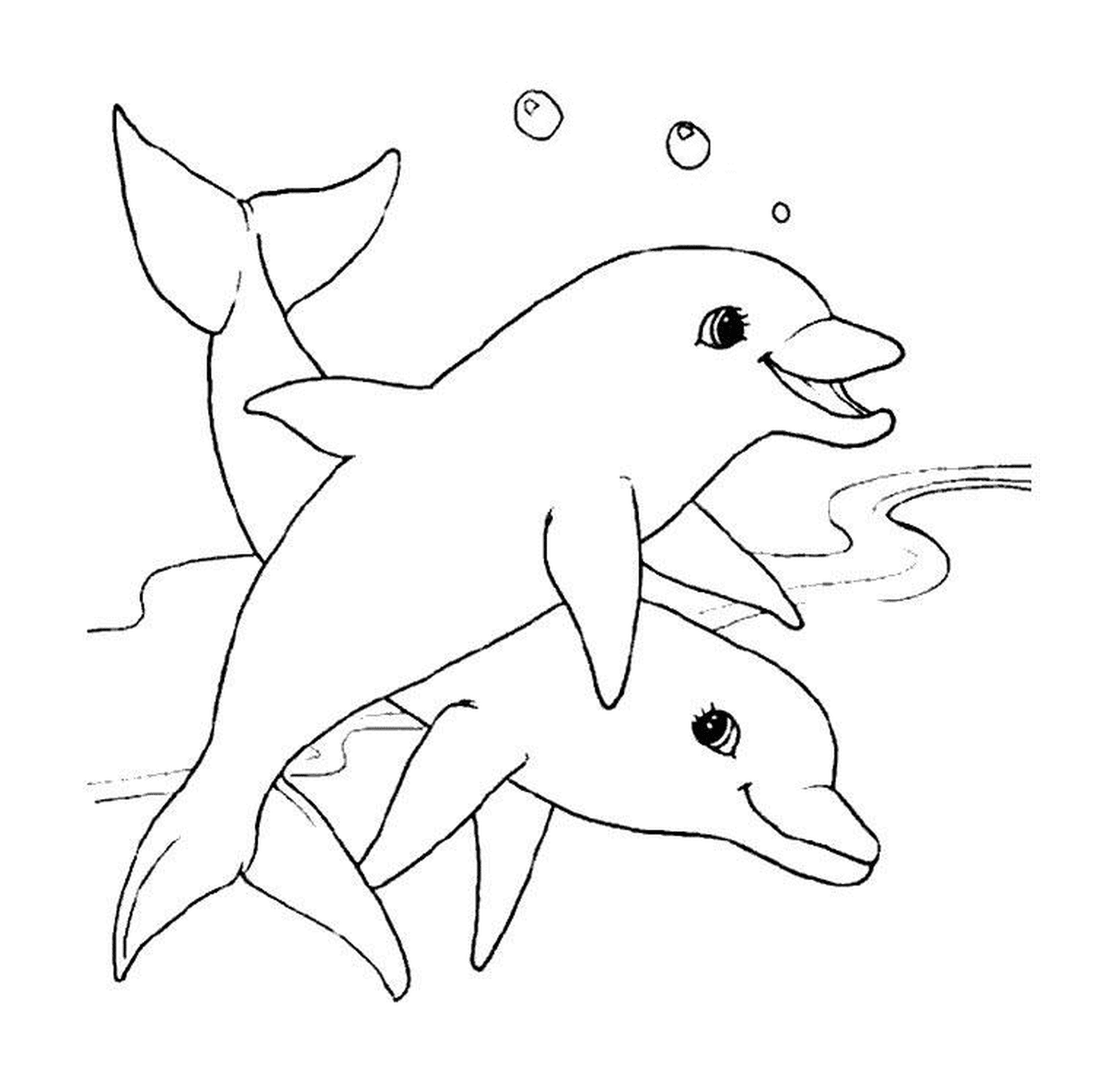  Dos delfines en blanco y negro 