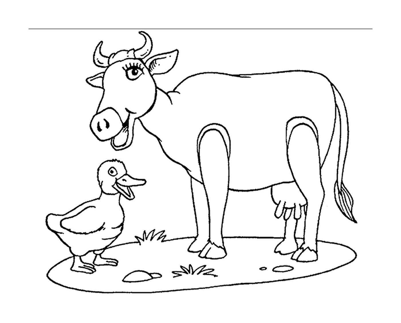  A cow with a duck 