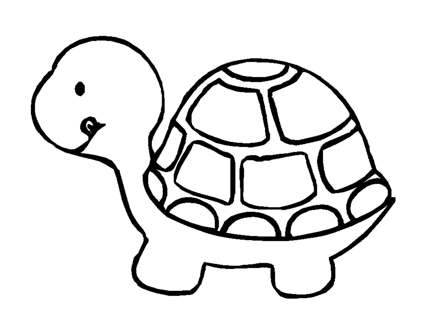  Una tartaruga di profilo 
