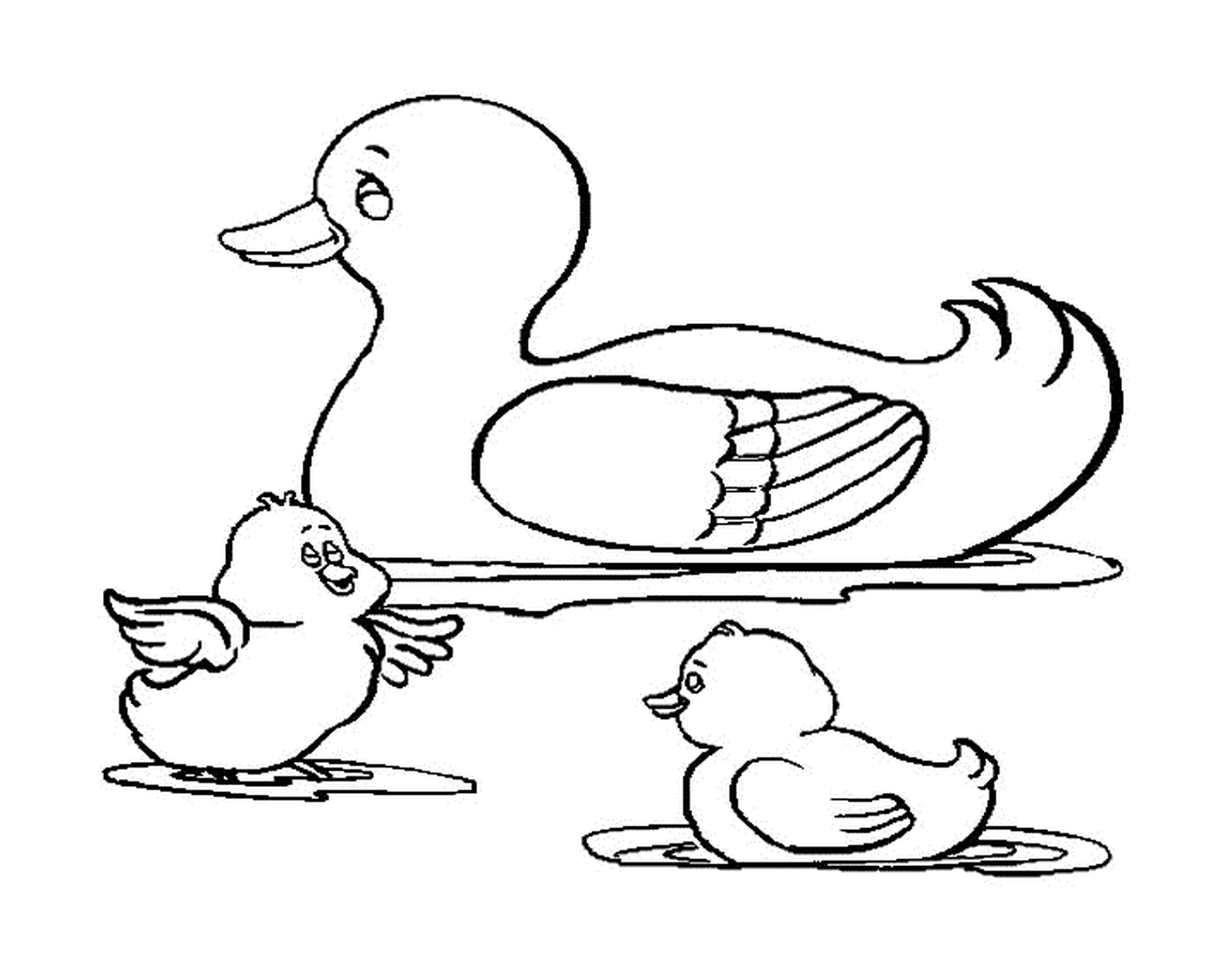  A duck with two ducklings 