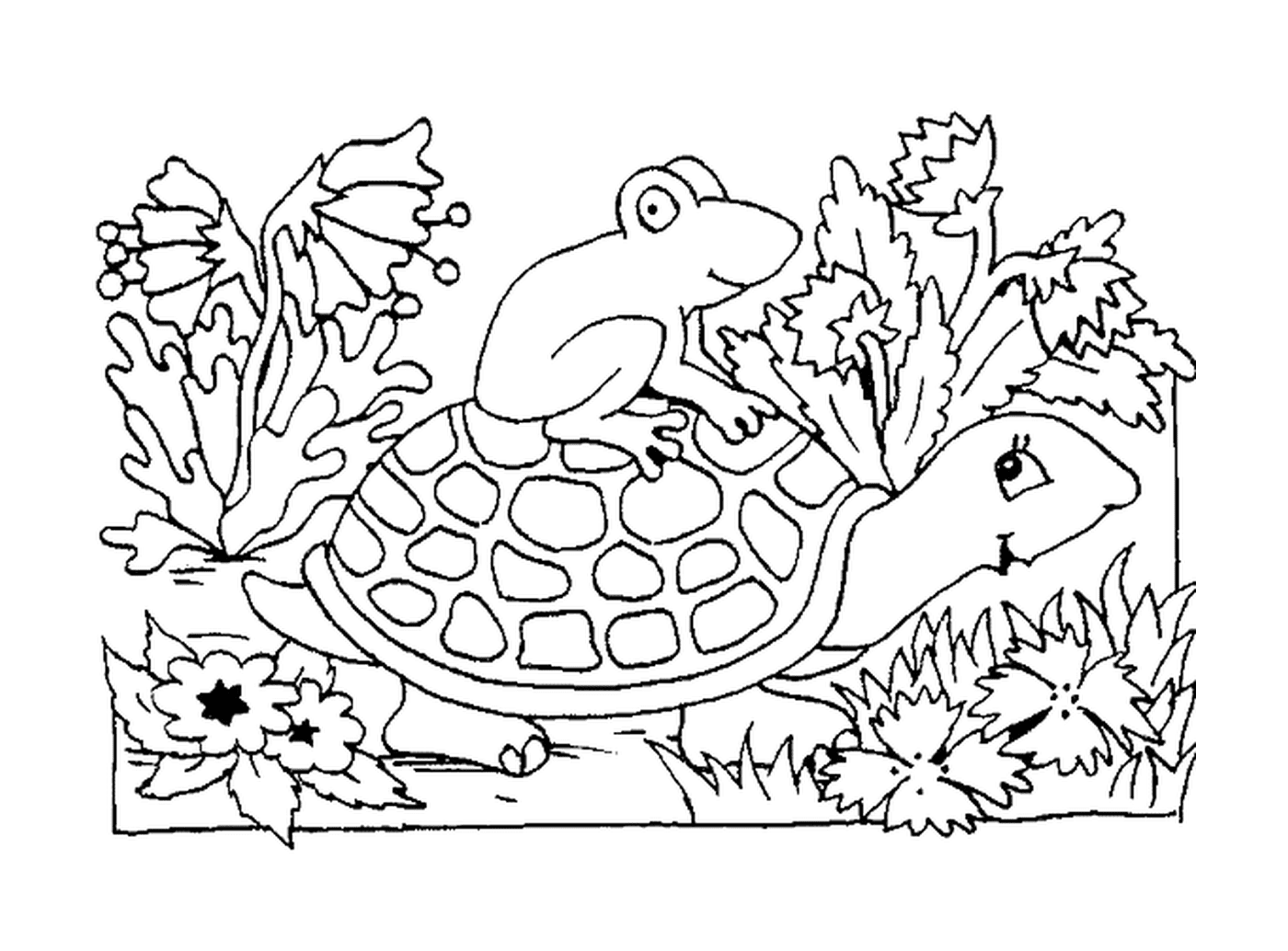  Una rana sentada sobre una caparazón de tortuga 