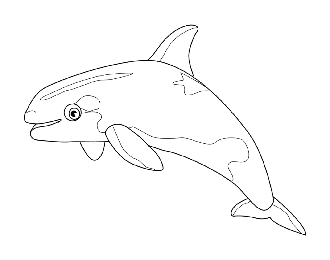  дельфин 
