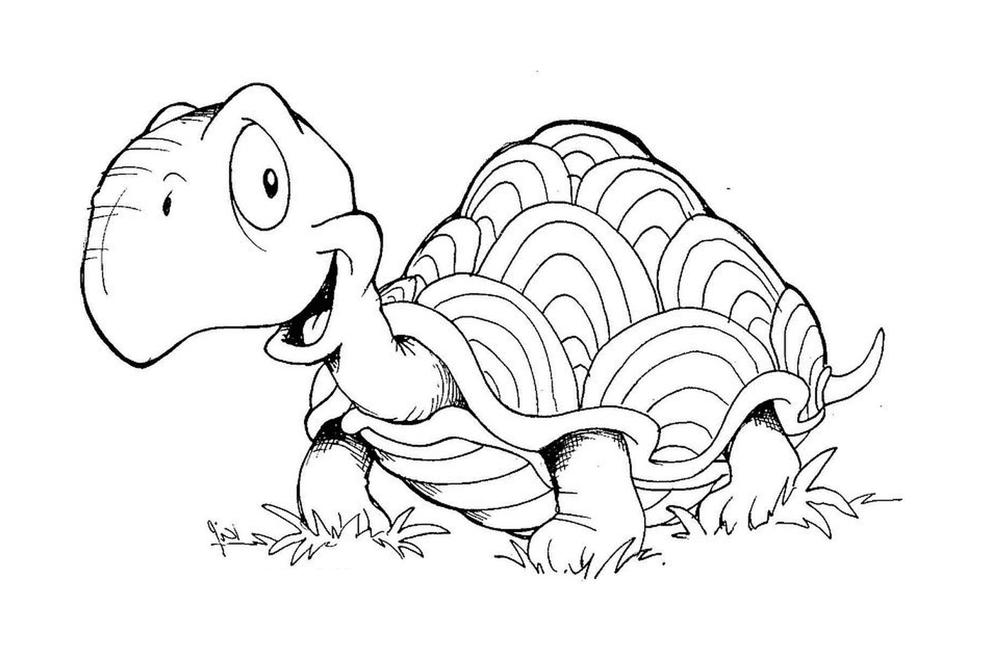  Eine Schildkröte im Gras 