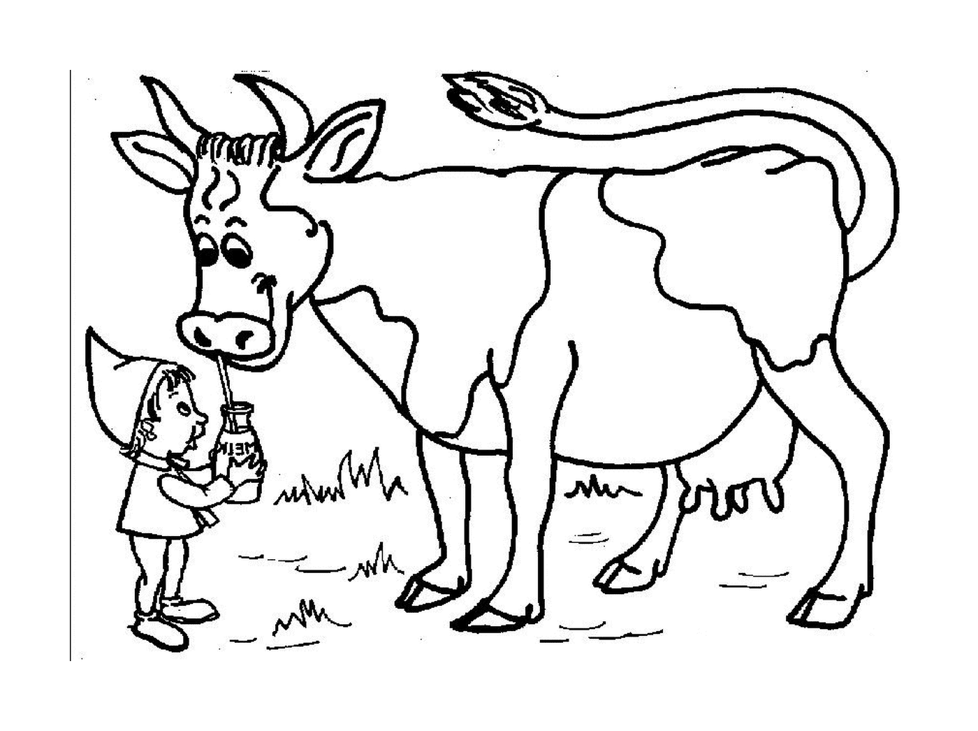  Una vaca bebiendo leche 