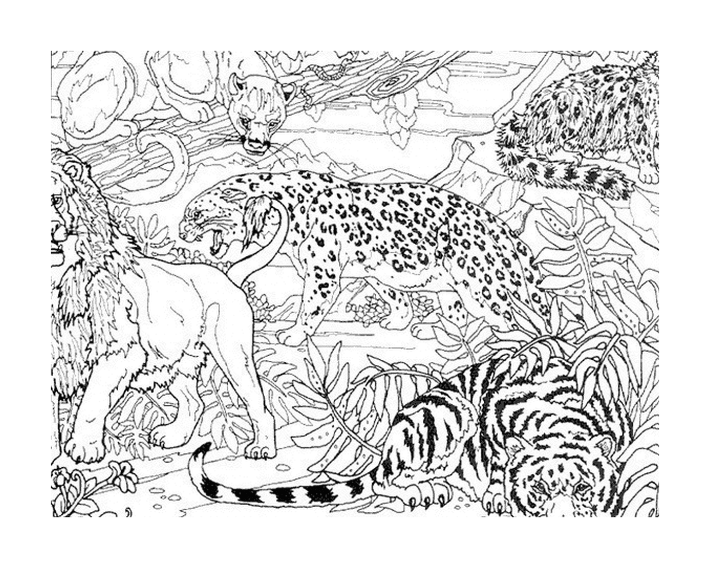  Un leopardo y dos tigres en la selva 