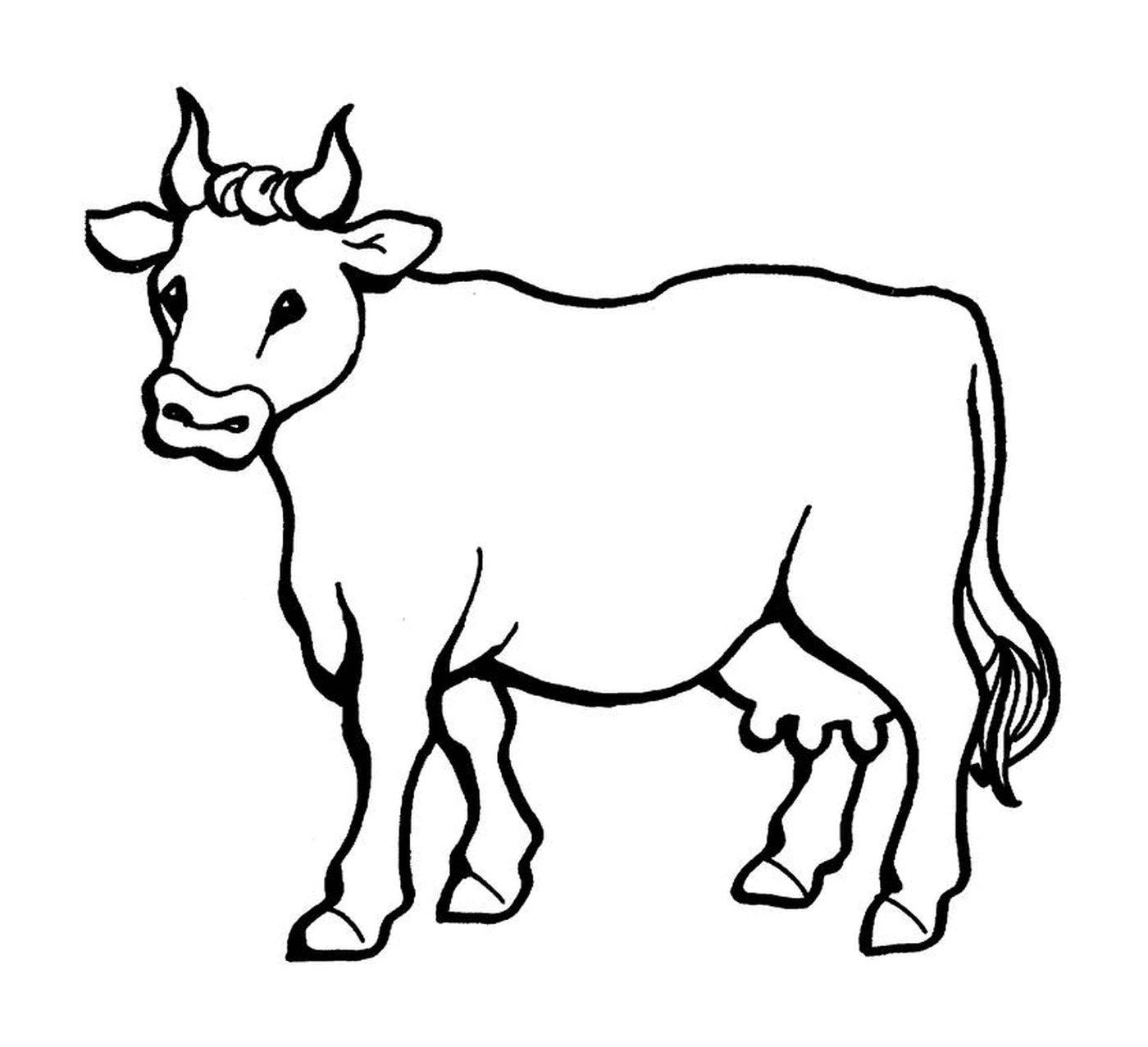  A beautiful cow 