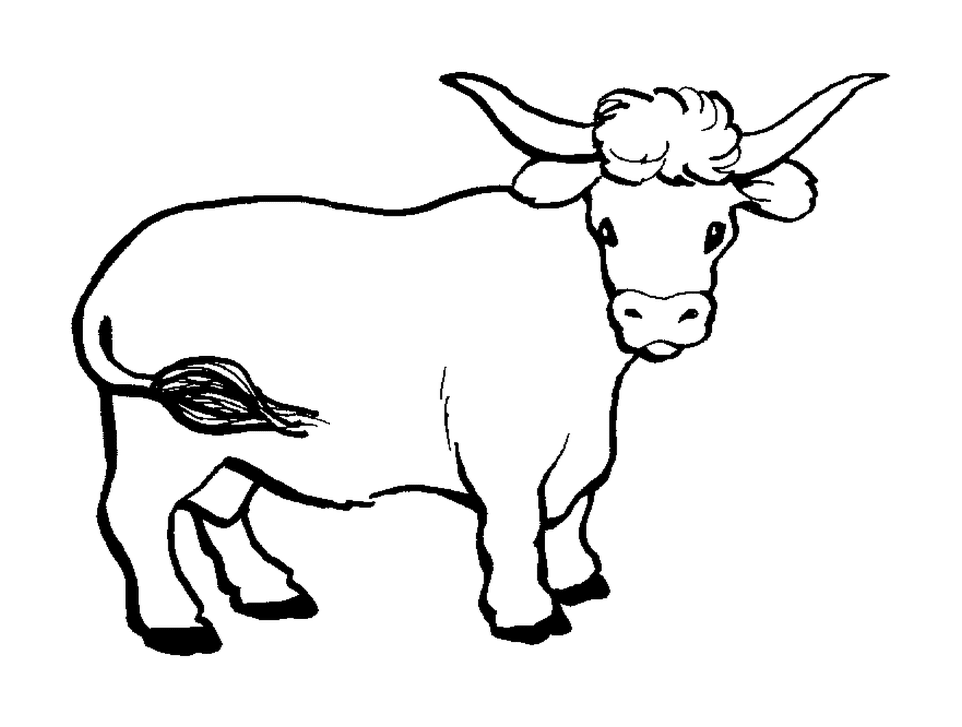  Una vaca 