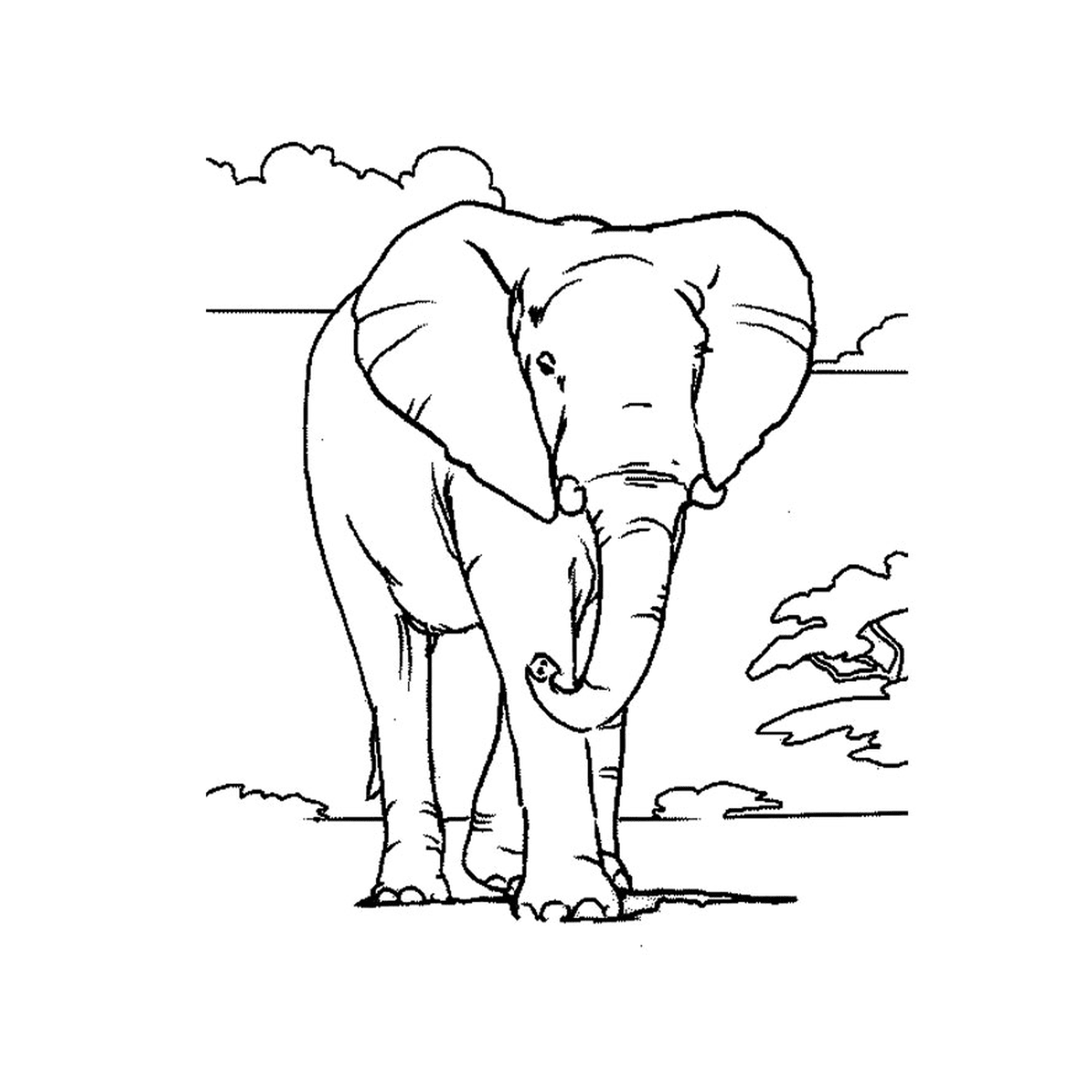  Un elefante de pie frente a un cielo lleno de nubes 