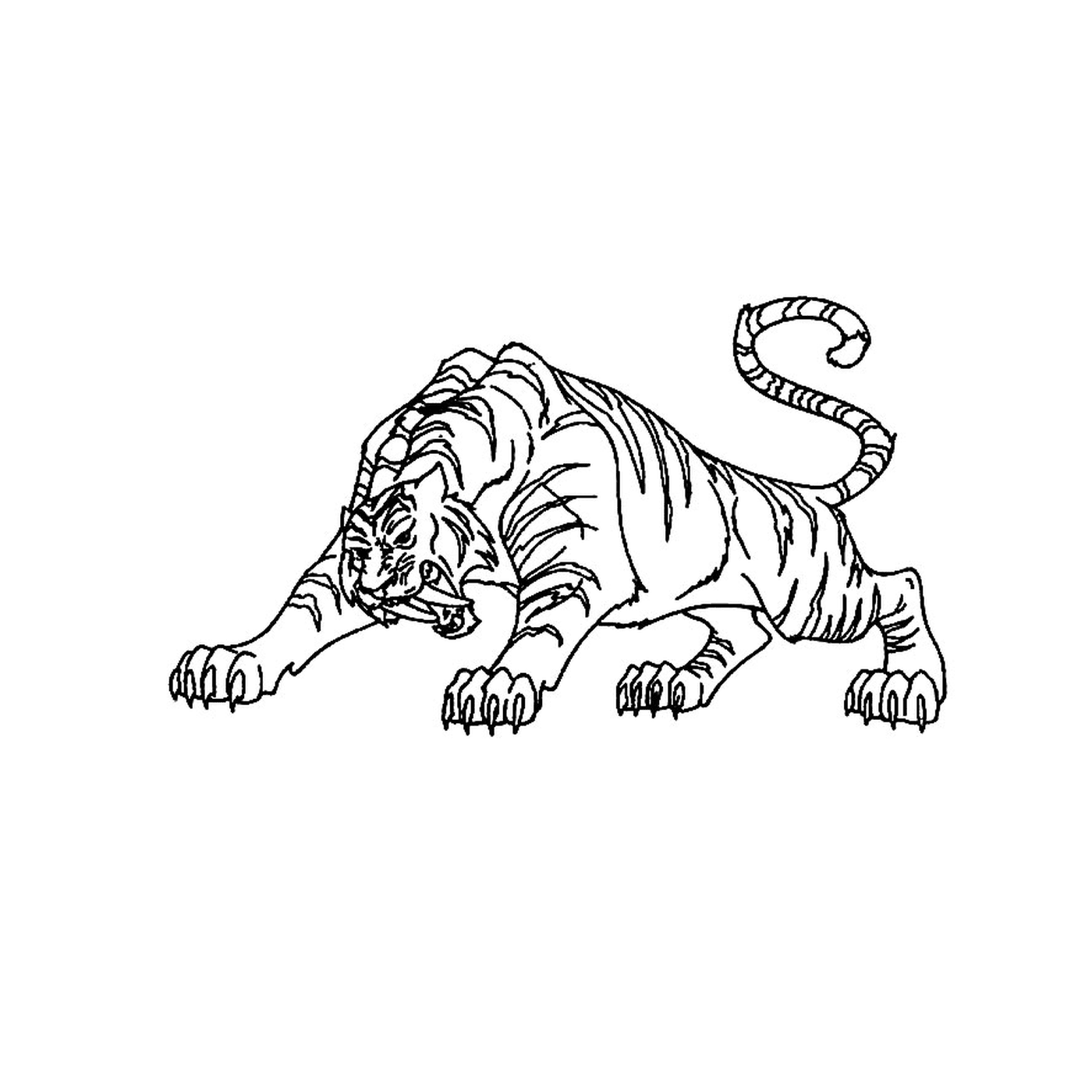  Тигр 