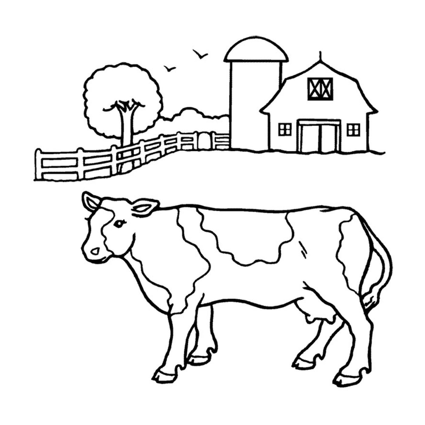  A cow stands in front of a barn 