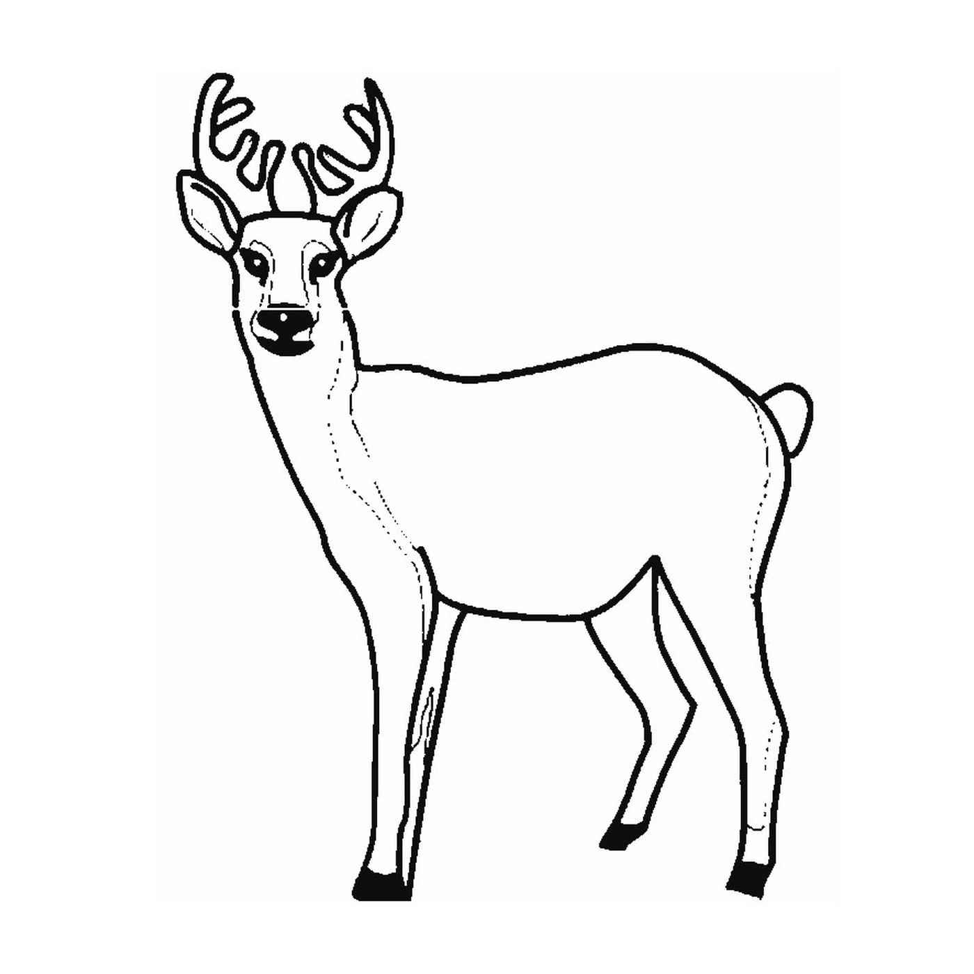  Un cervo con le corna sulla testa 