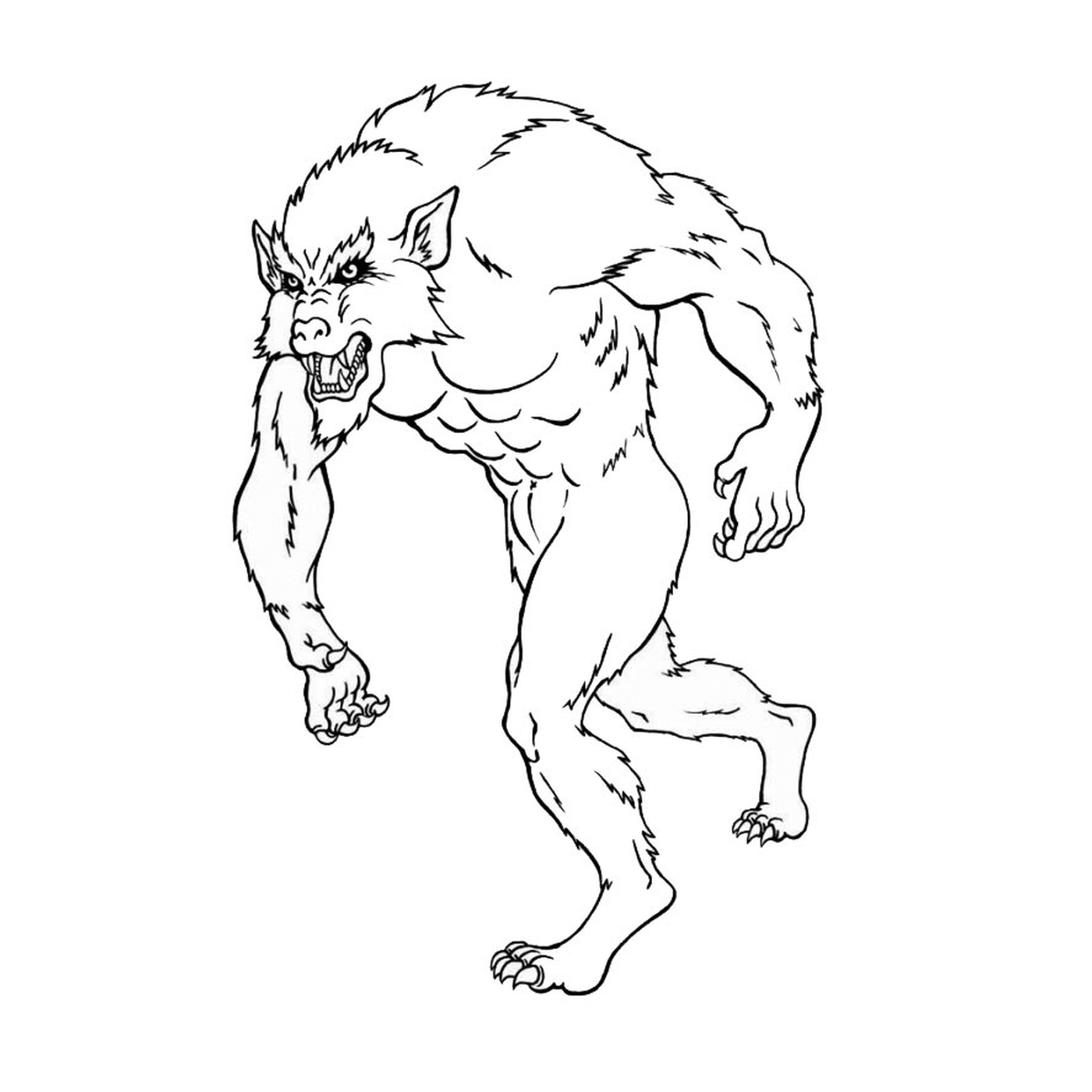  A werewolf 