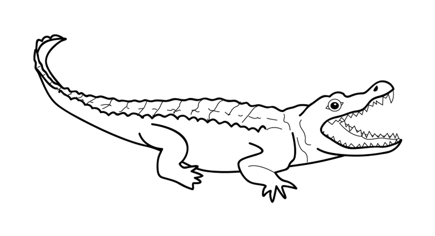  Ein sitzender Alligator 