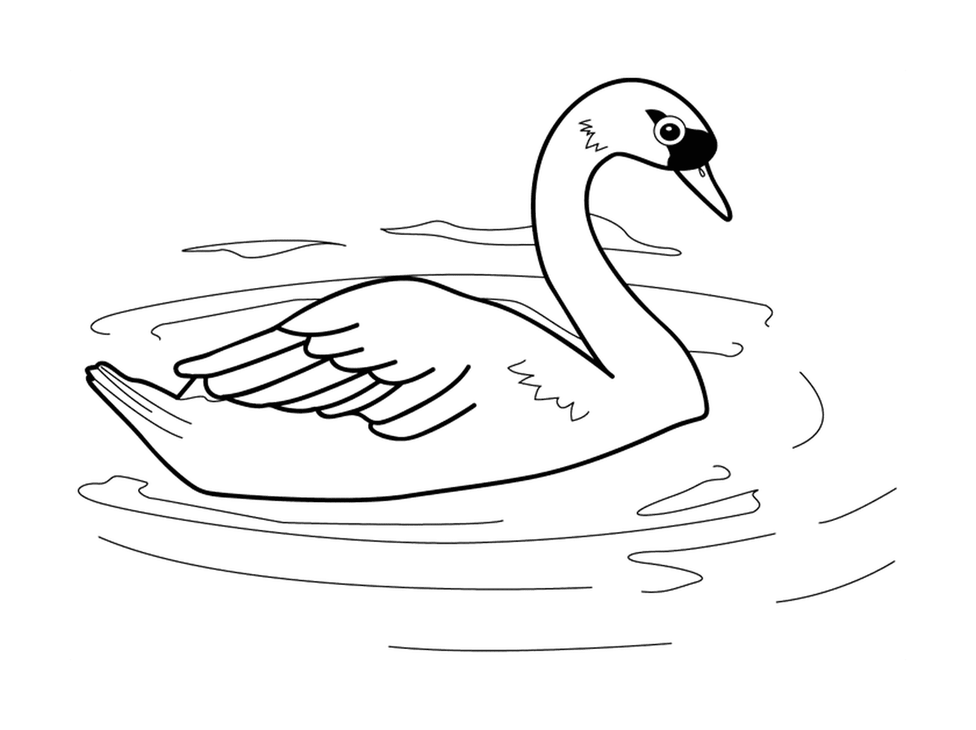  Лебедь в воде 