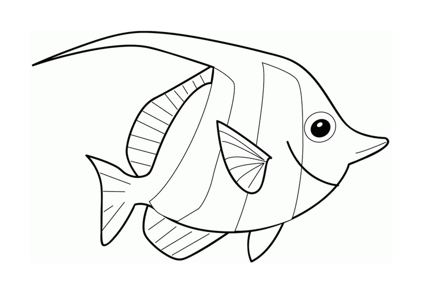  A fish 