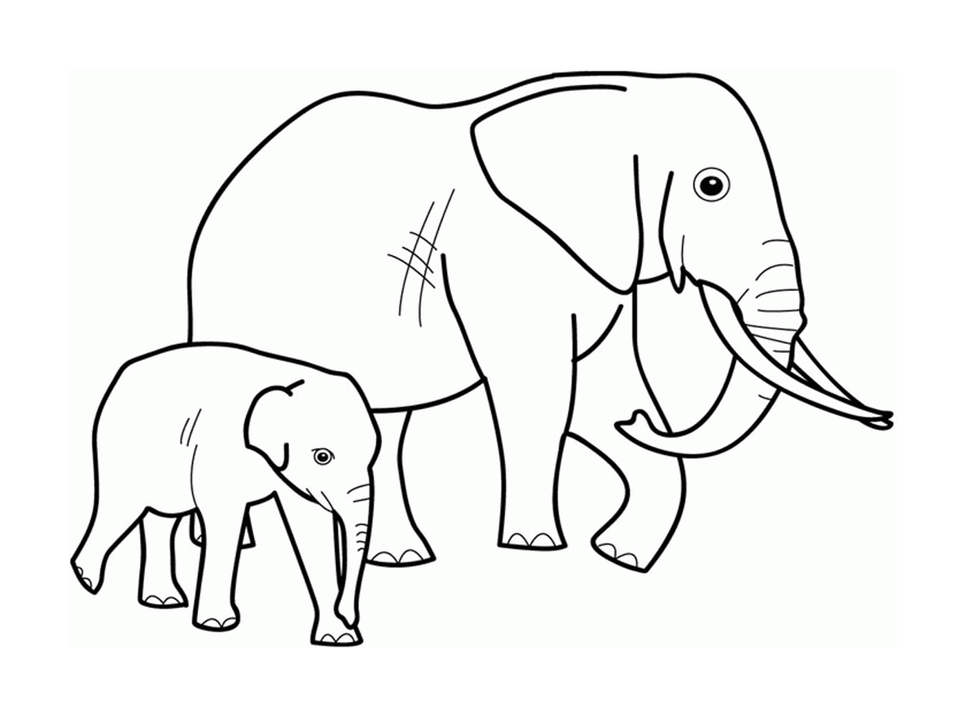  An adult elephant and an elephant next to each other 