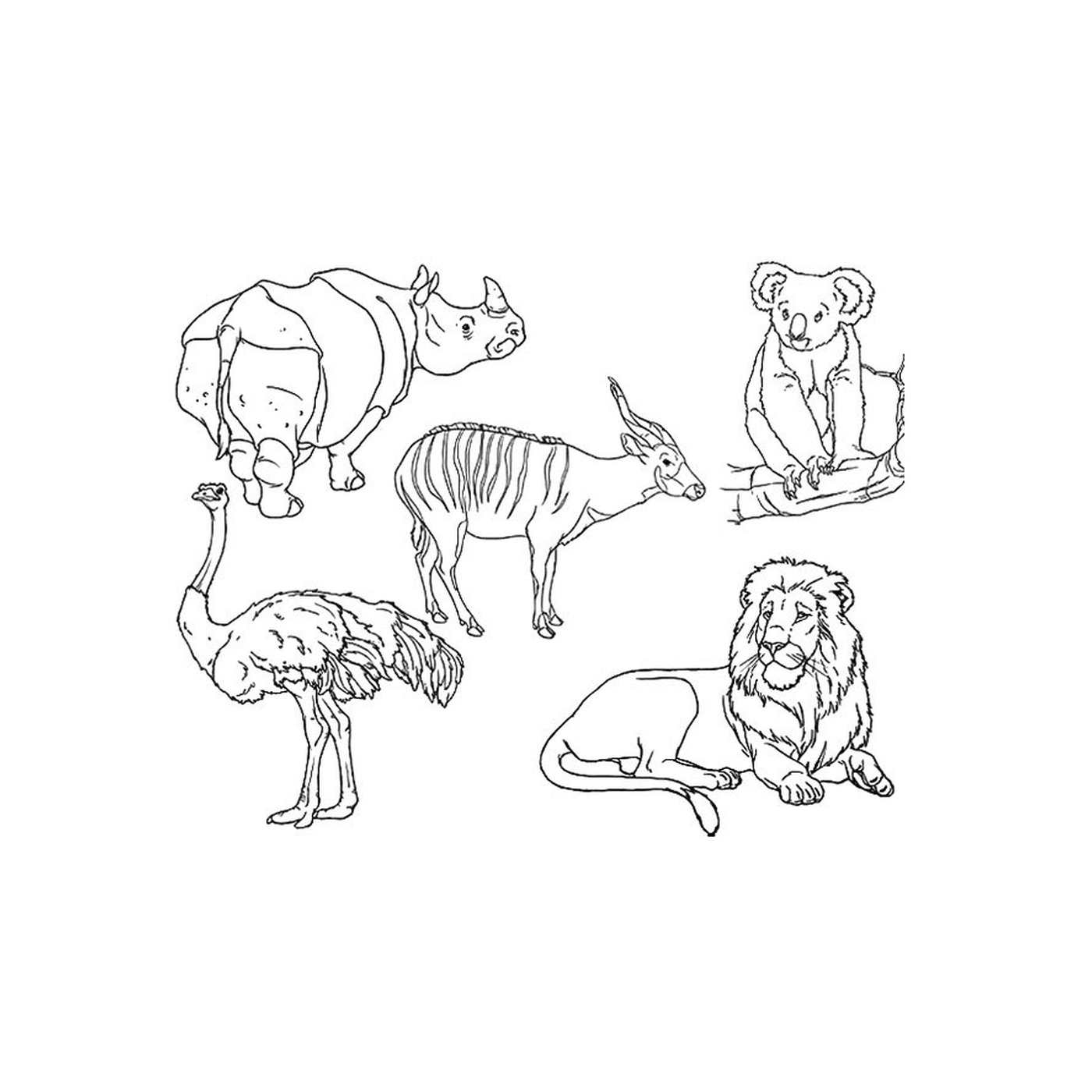  A group of animals drawn 