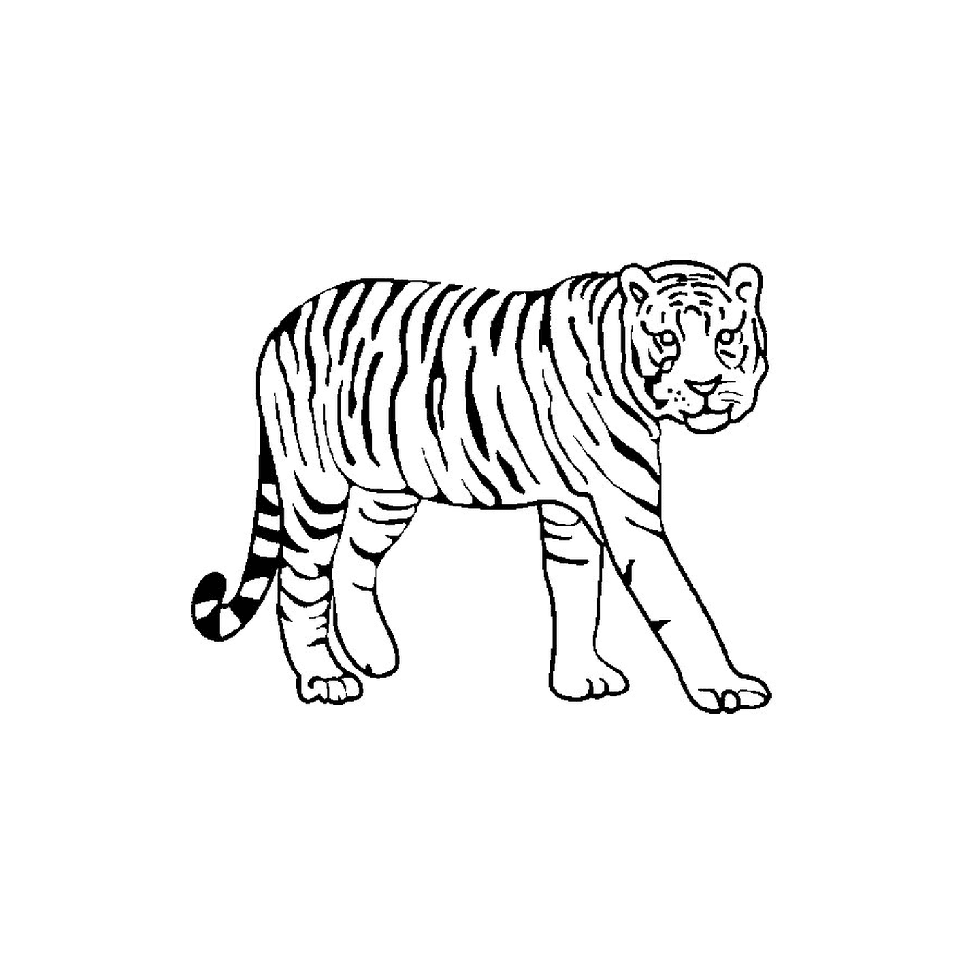  Una tigre 